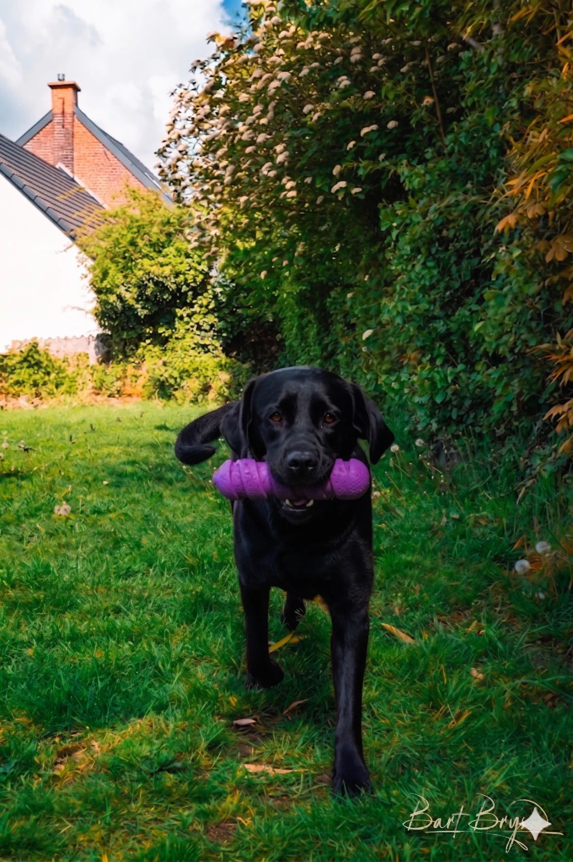 image-26