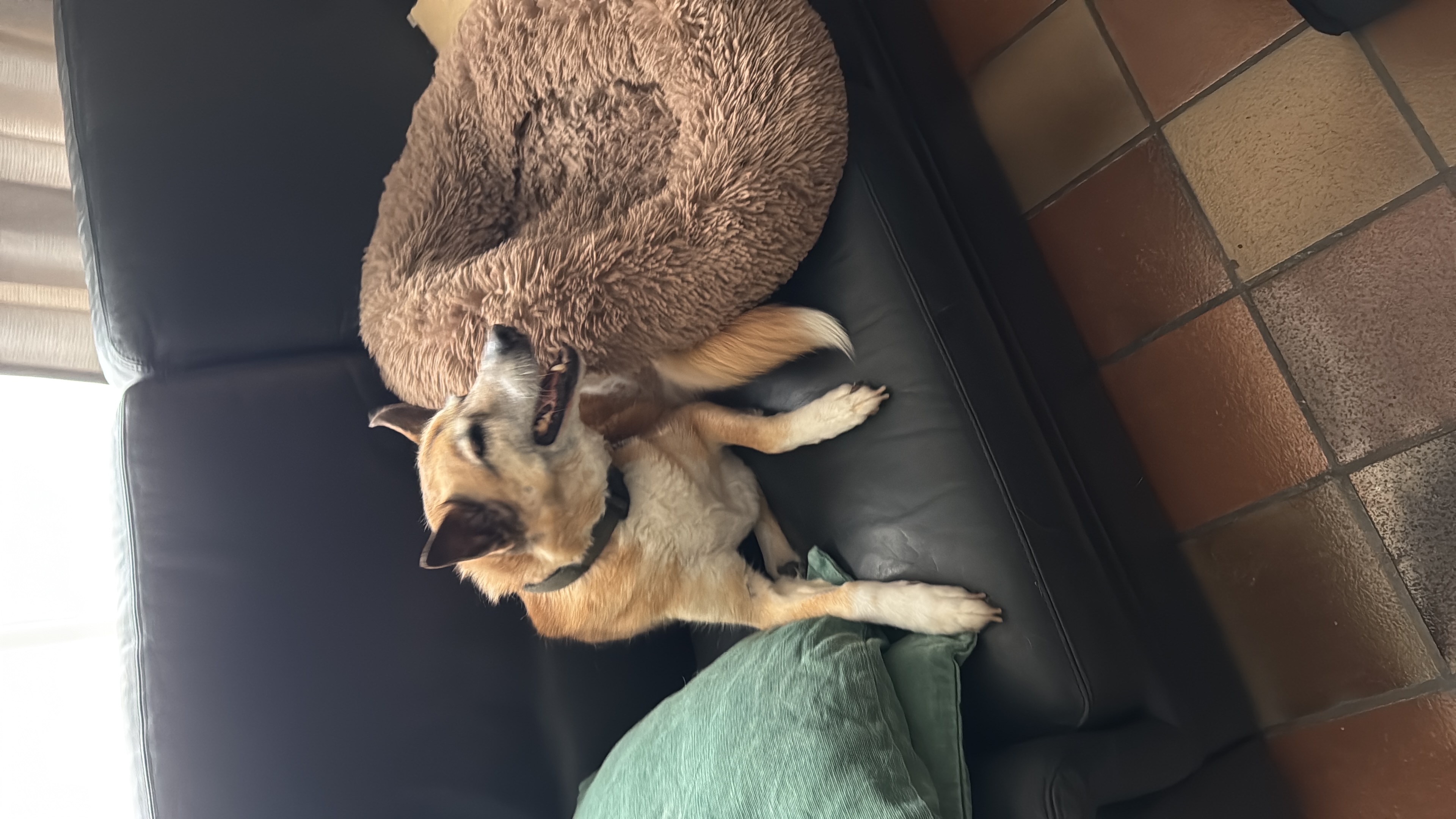 image-11