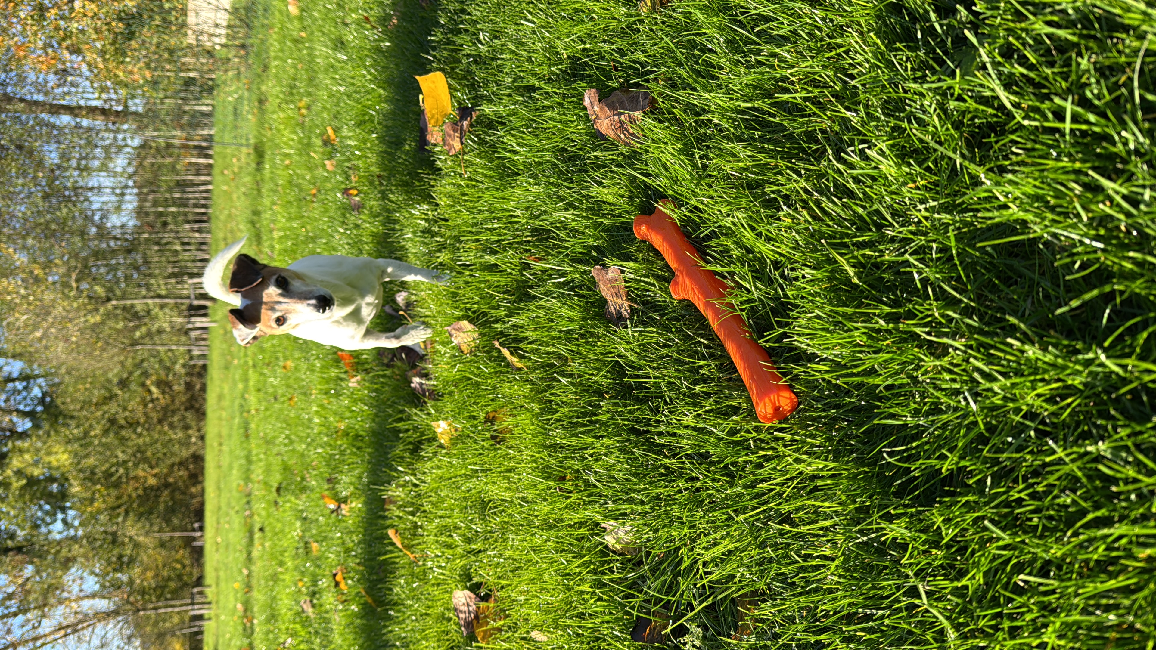 image-5