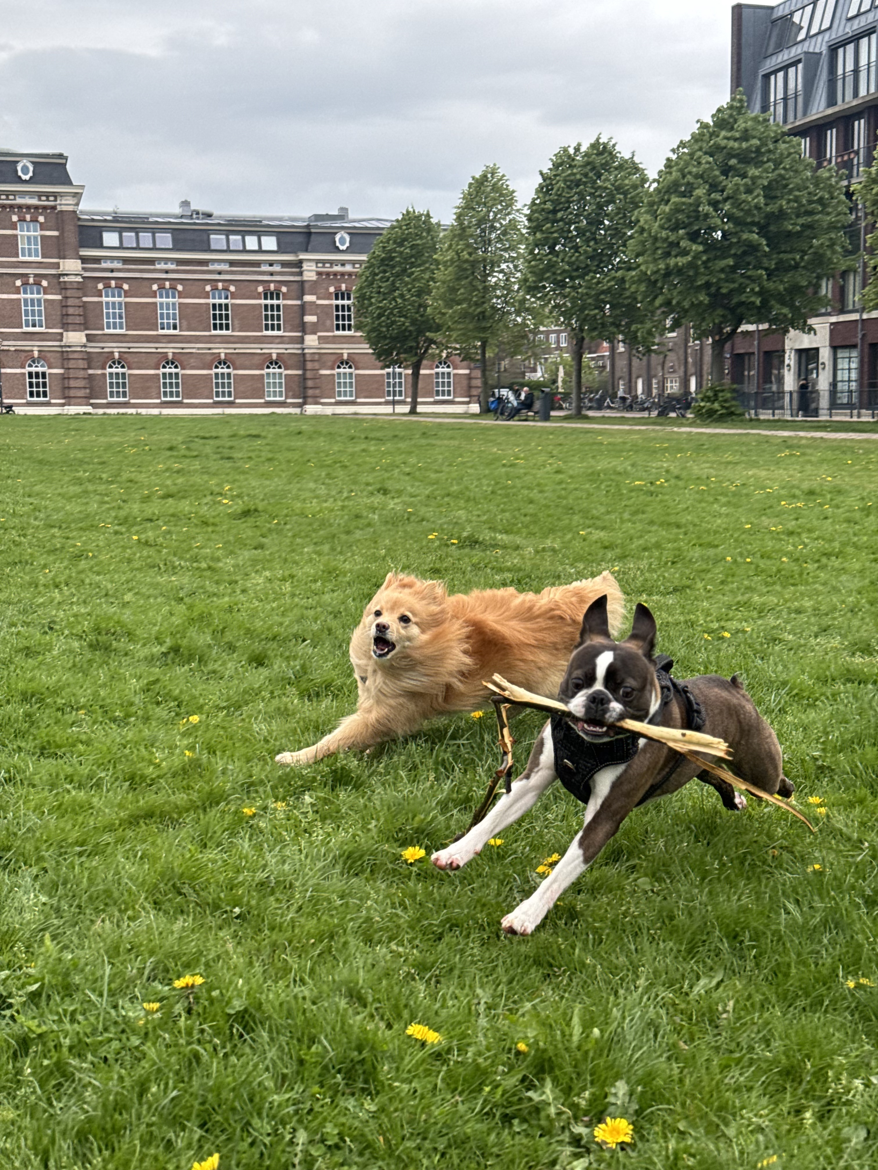 image-28