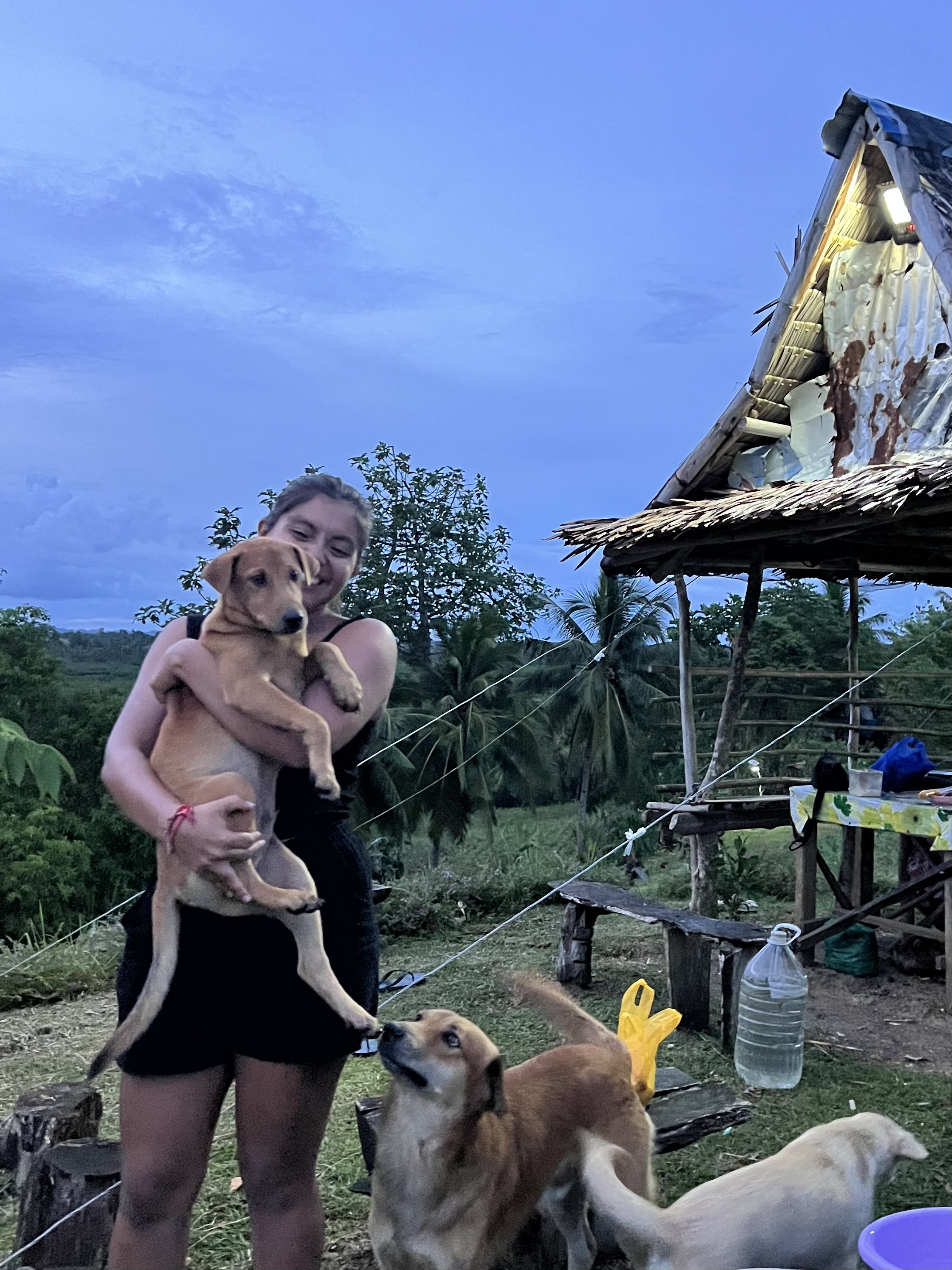 image-7