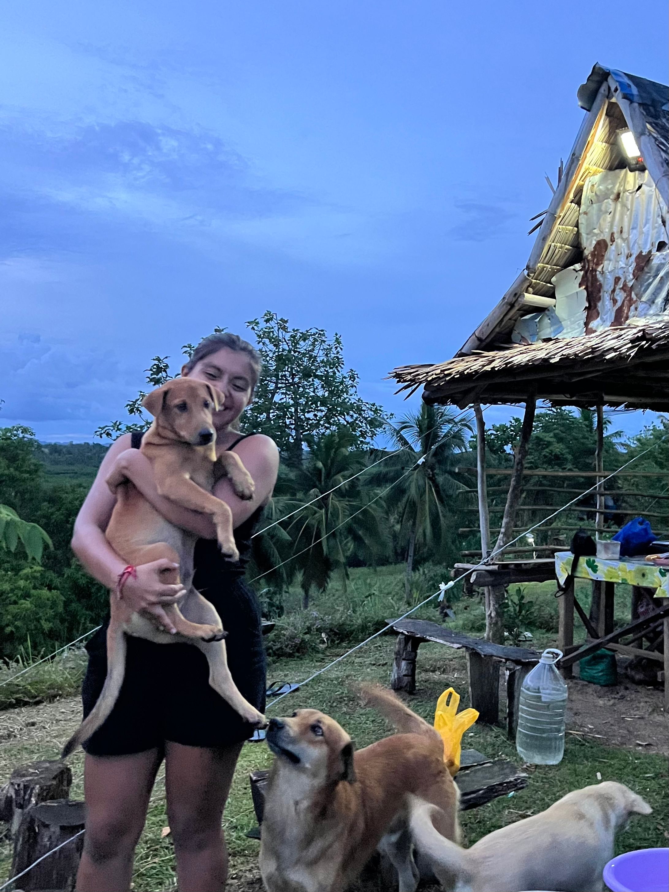 image-7