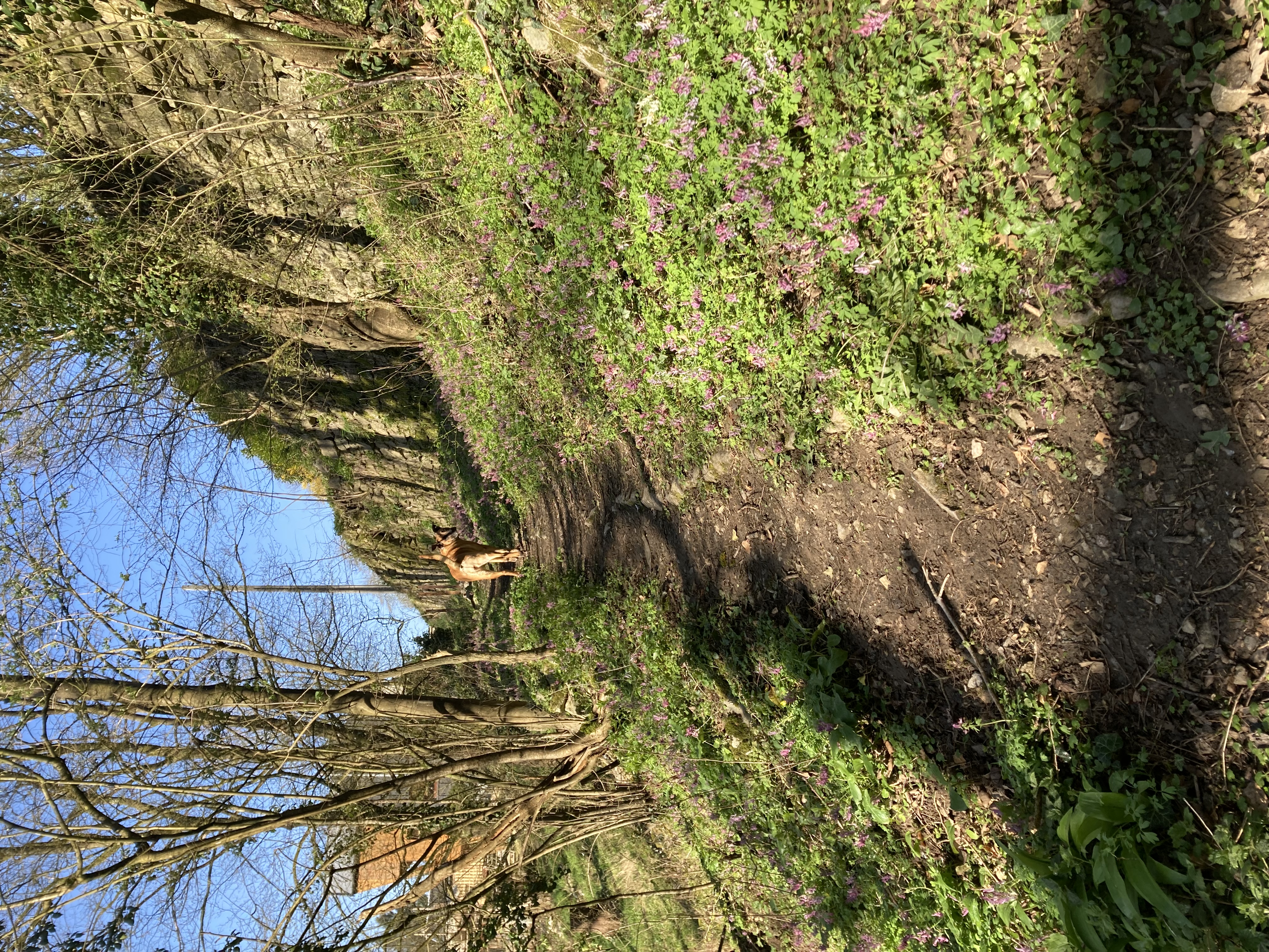 image-3