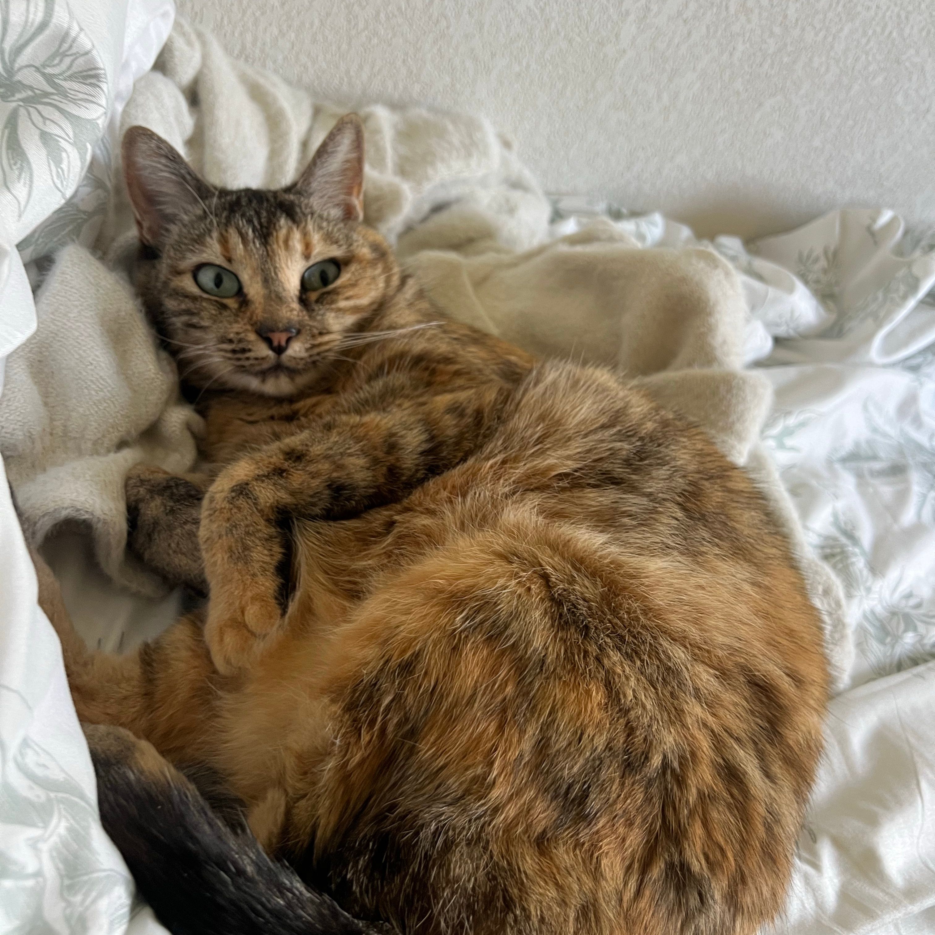 Mila