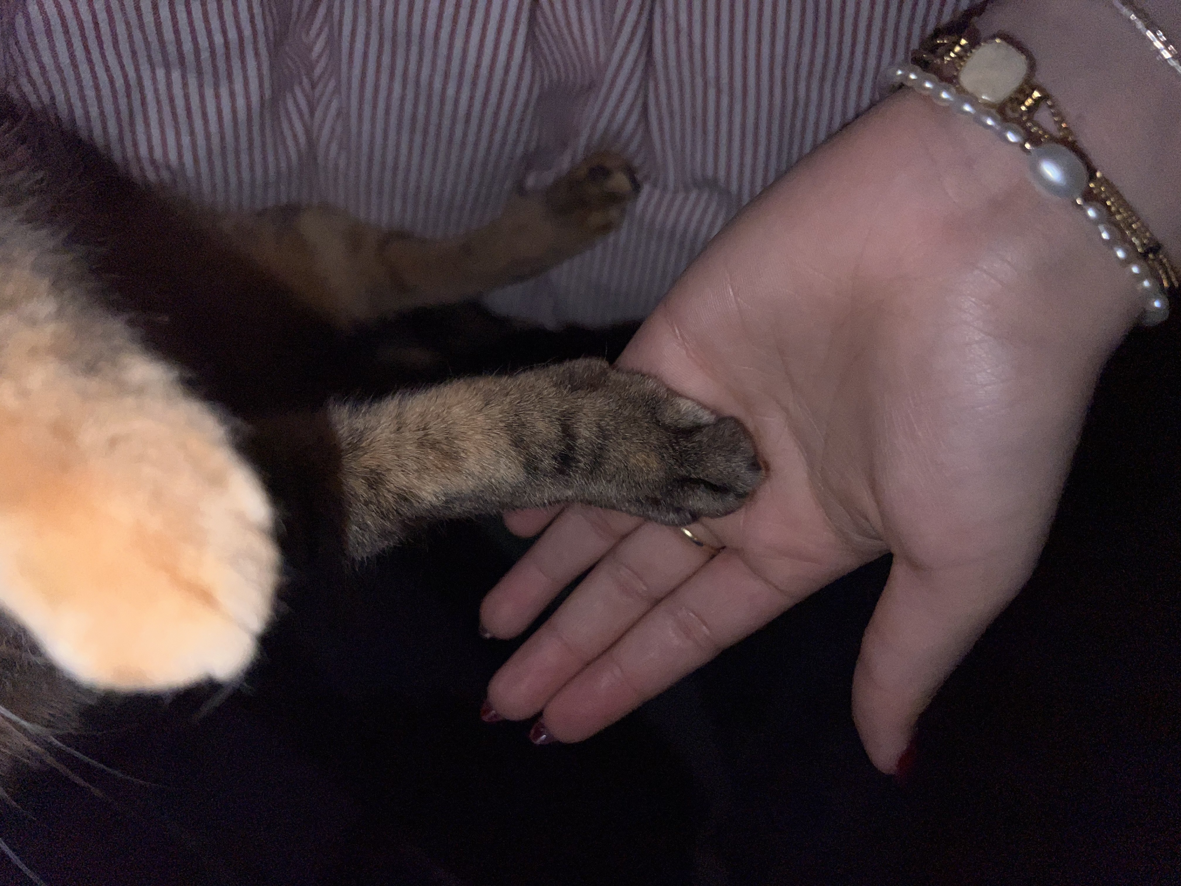 image-8