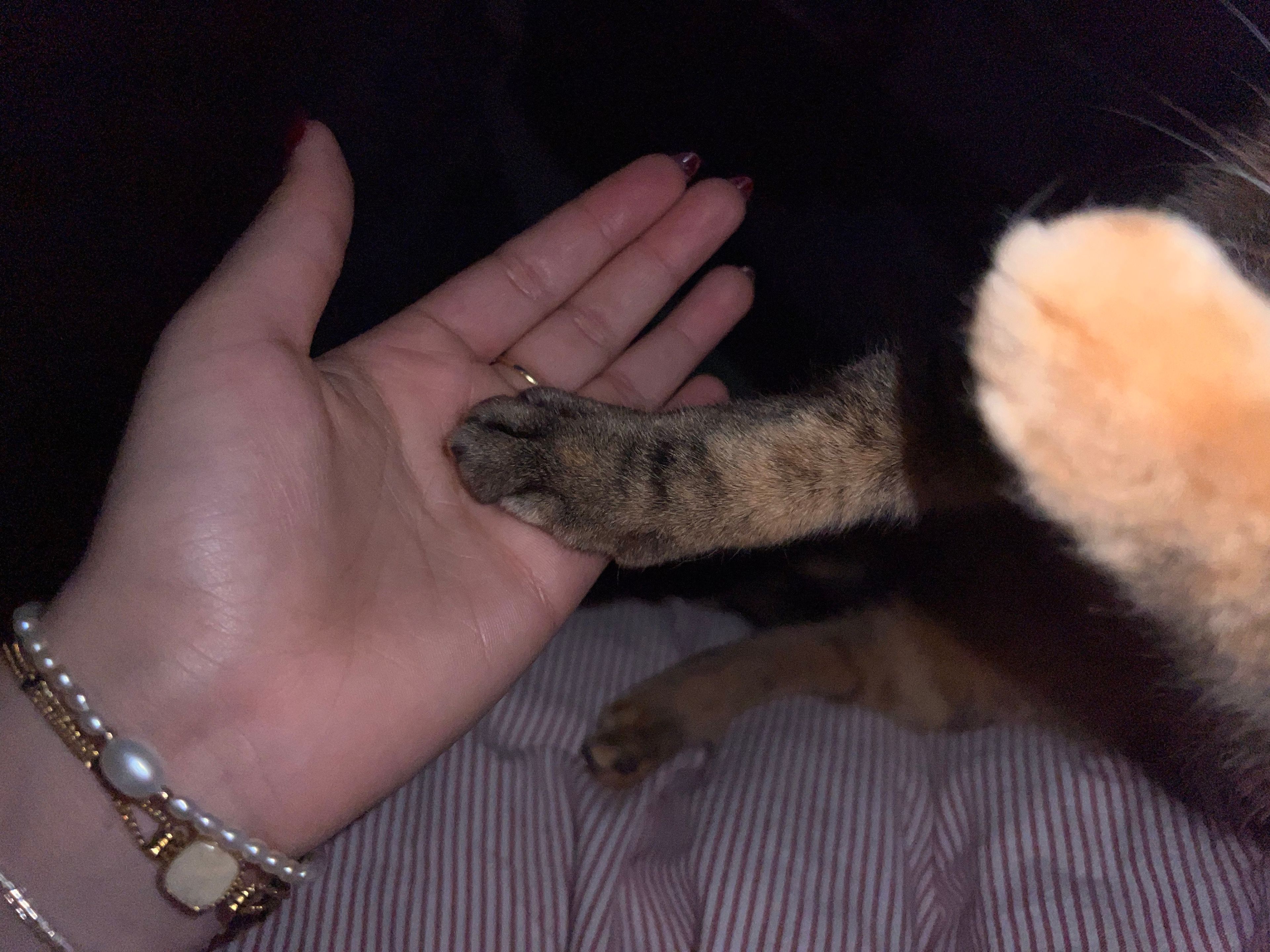 image-8