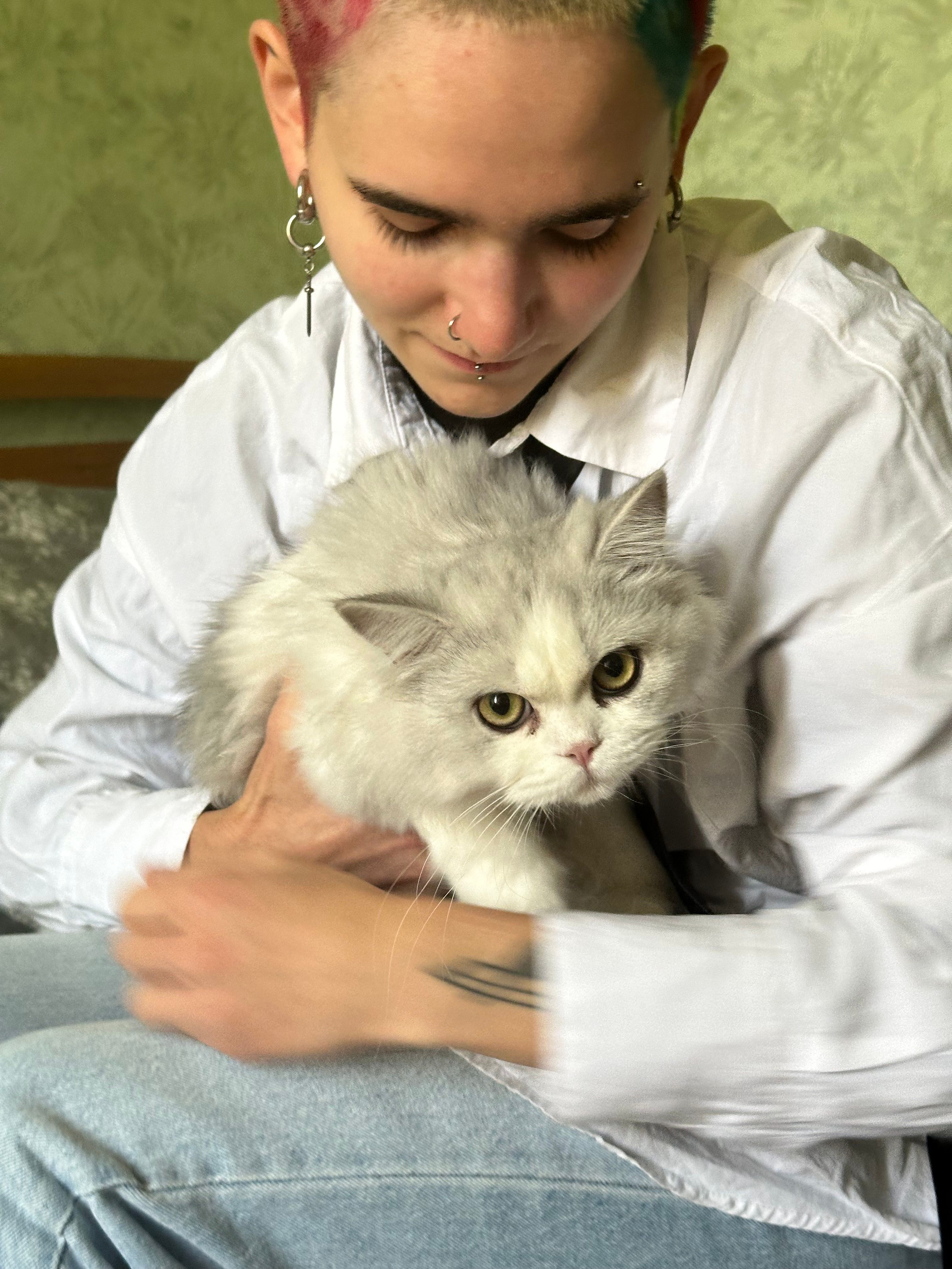 image-7