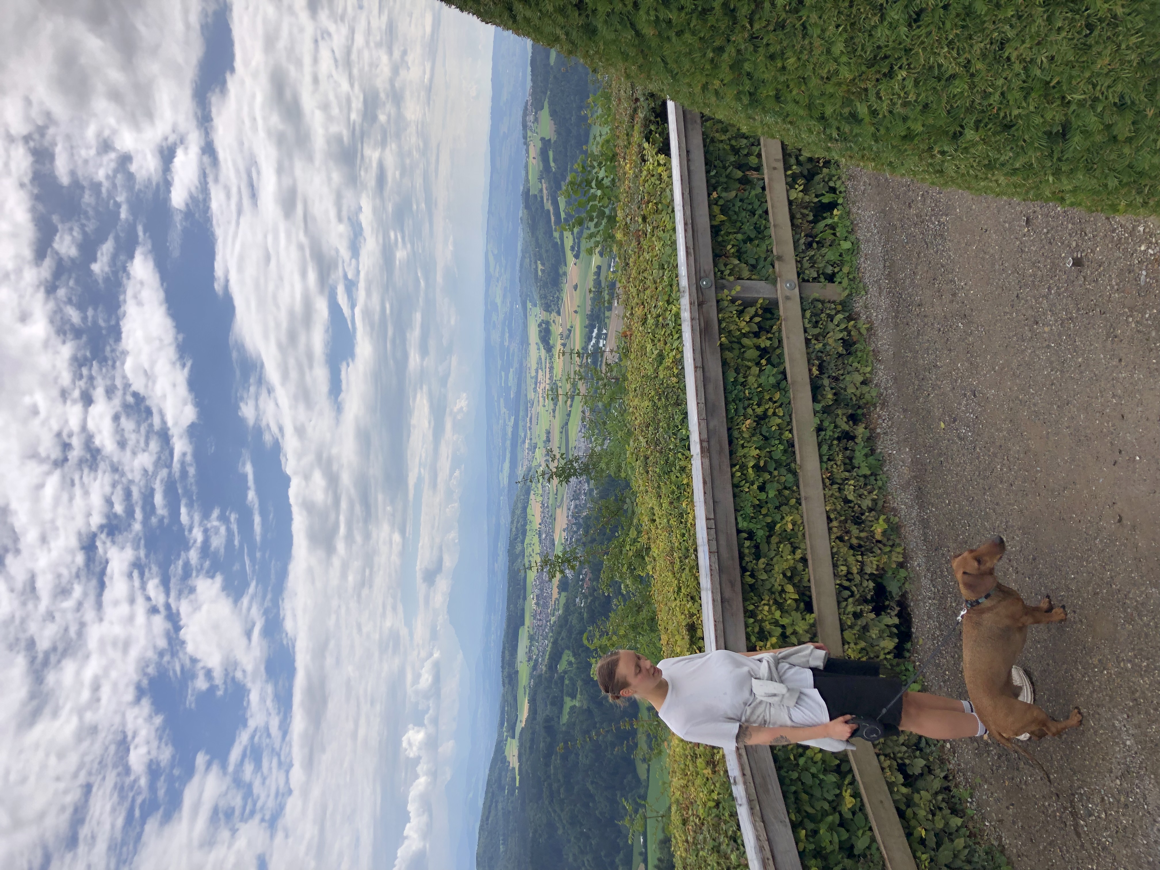 image-0