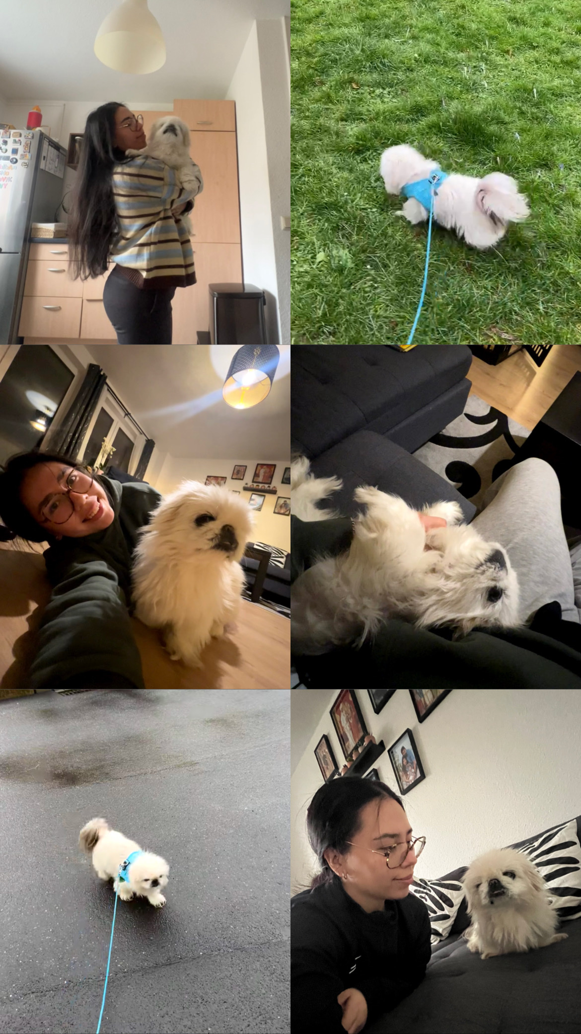 image-17