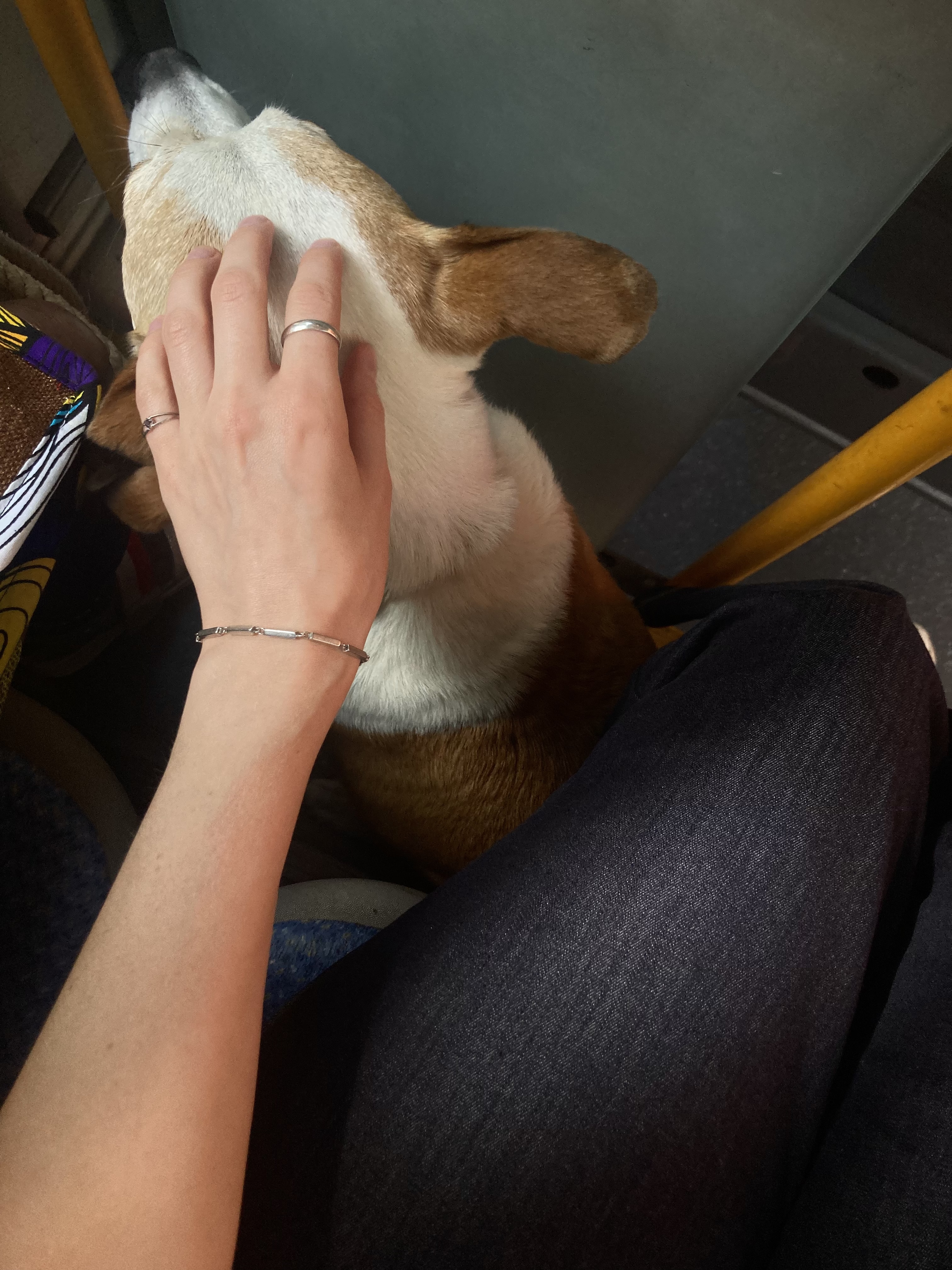 image-7