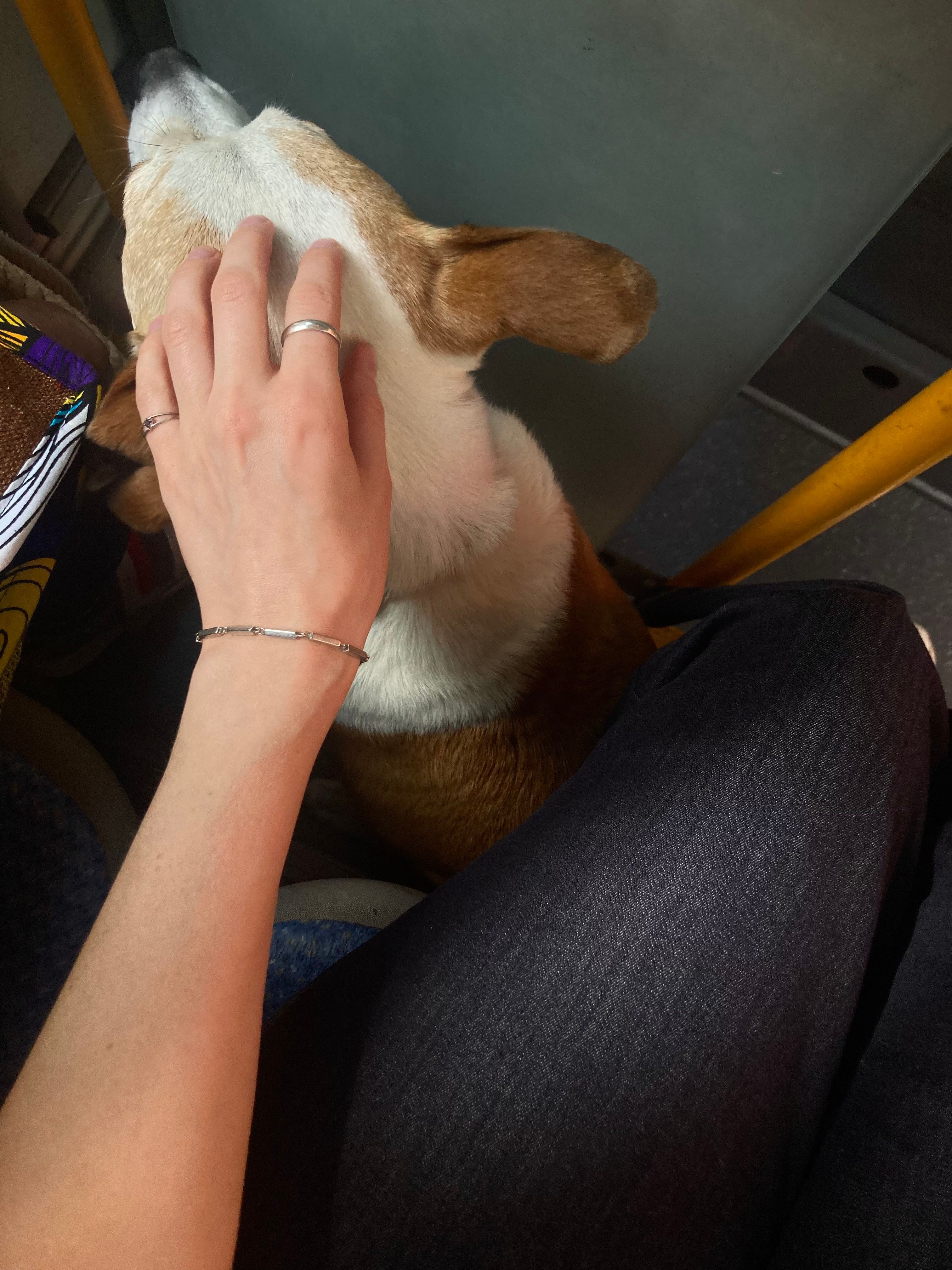 image-7