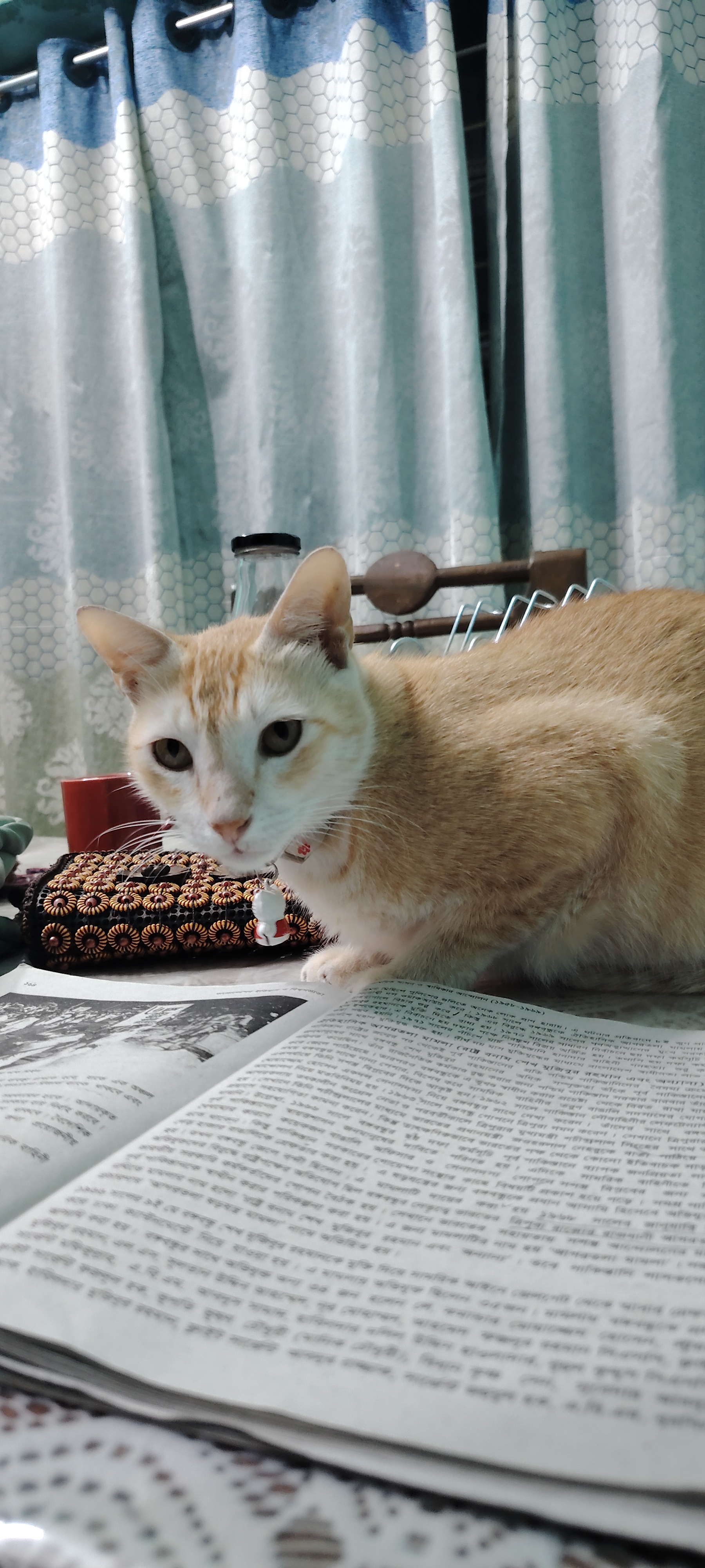 image-7