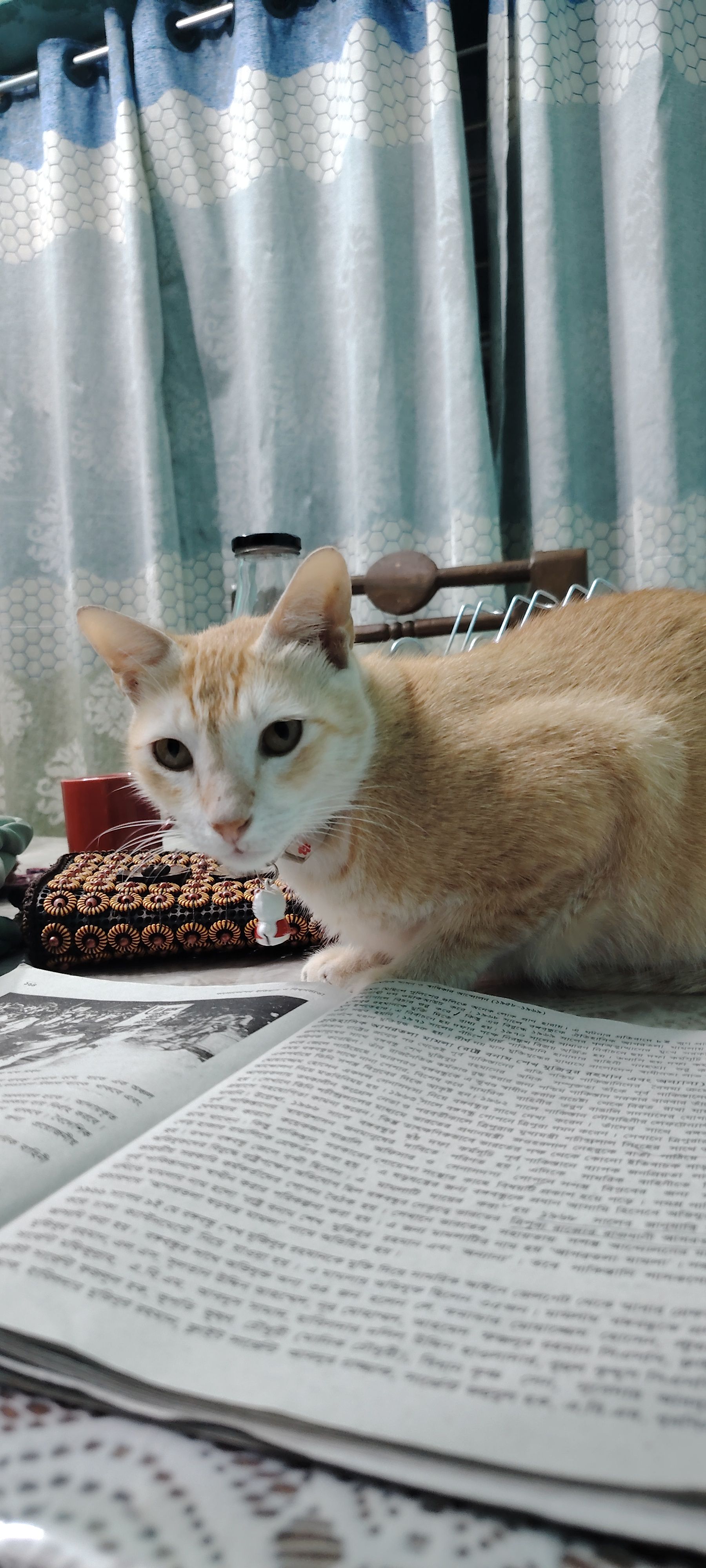 image-7