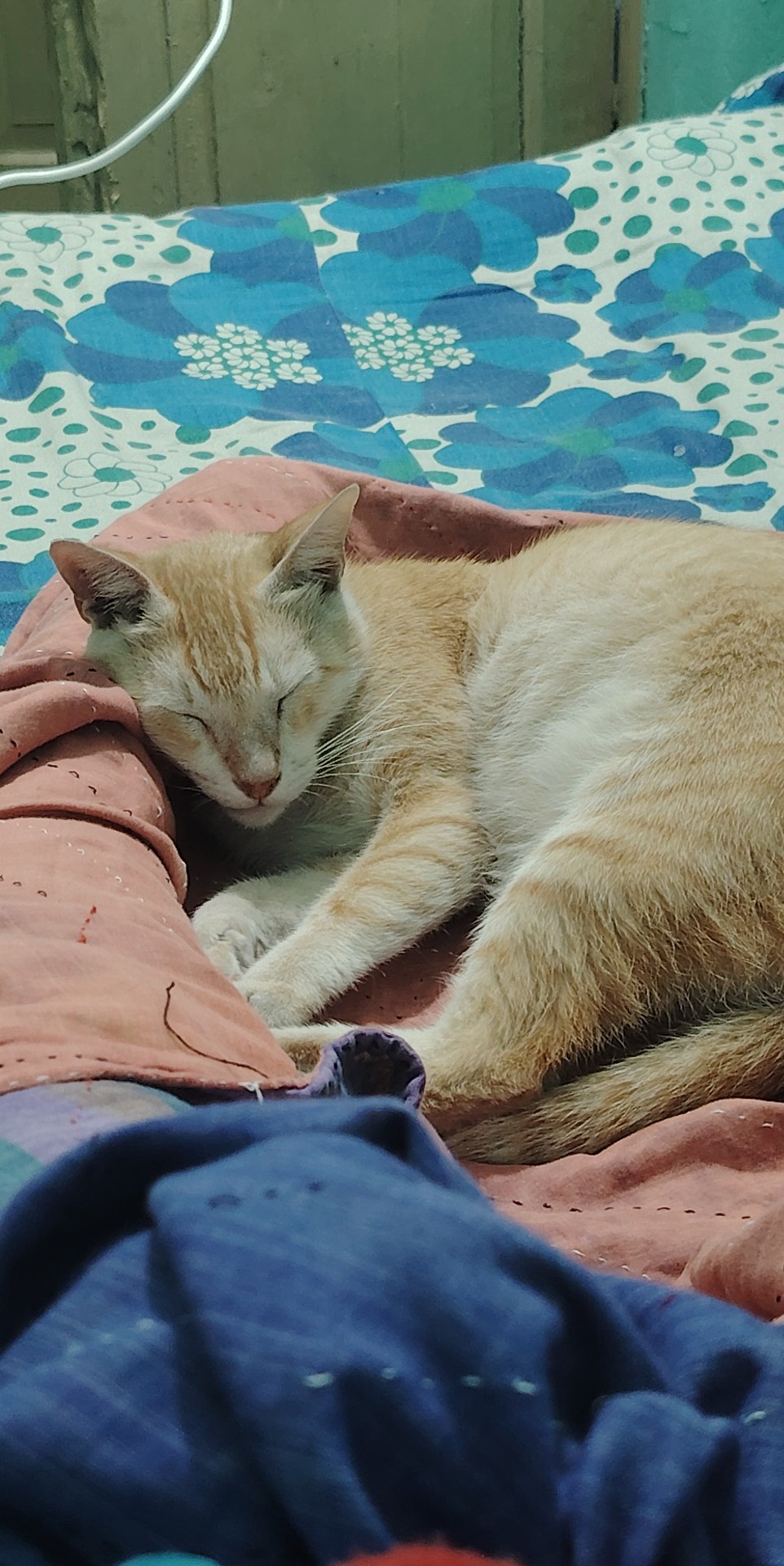 image-5