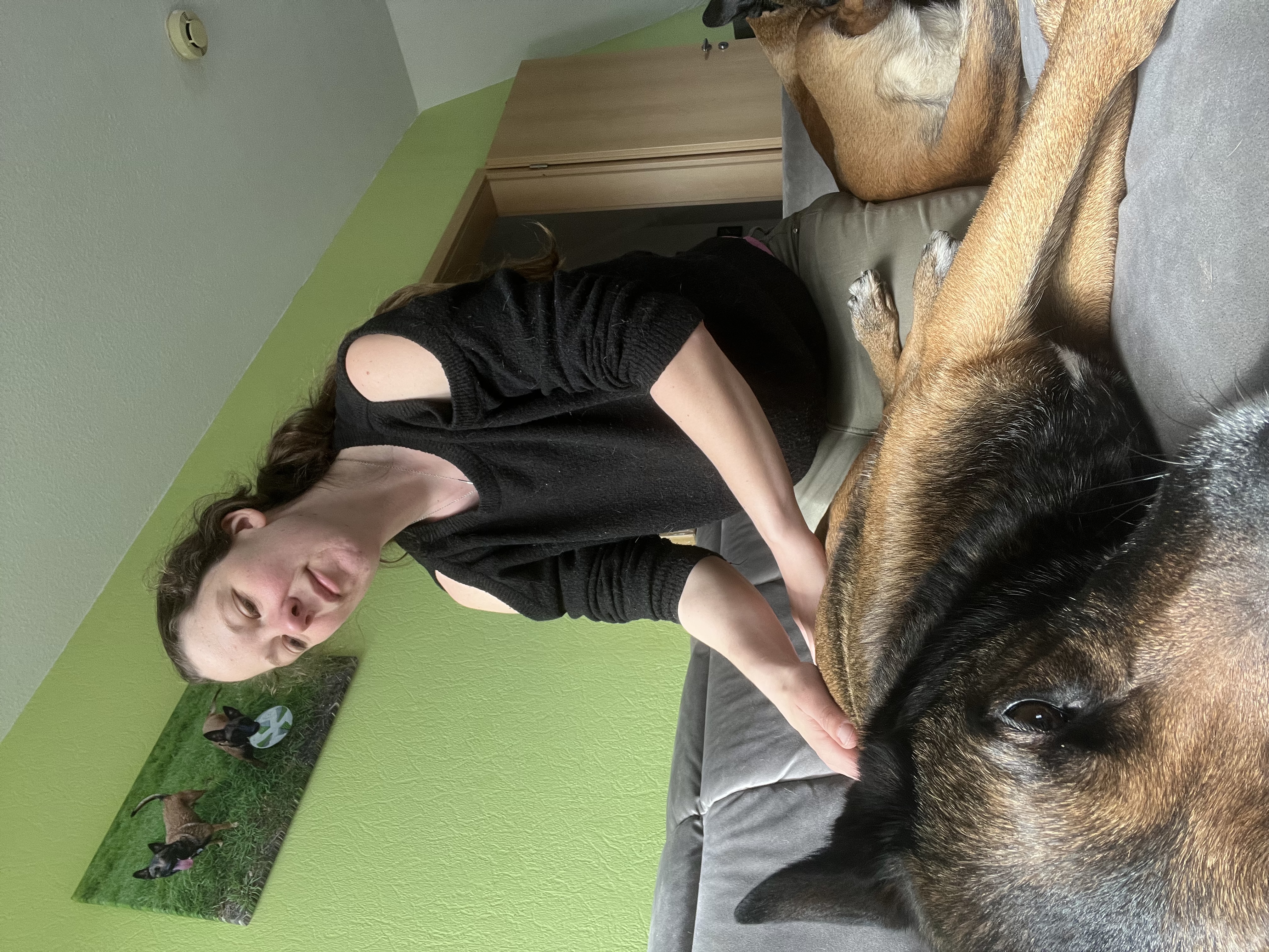 image-8