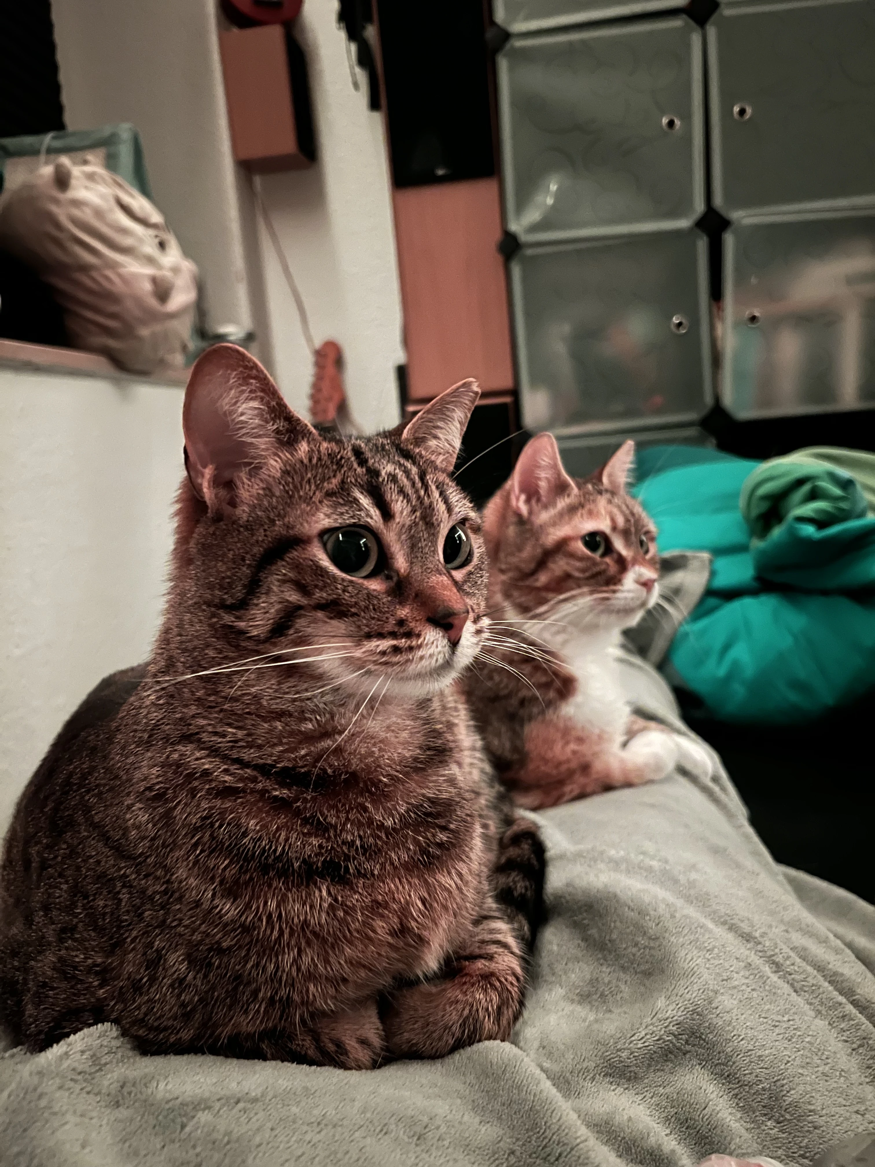 image-6