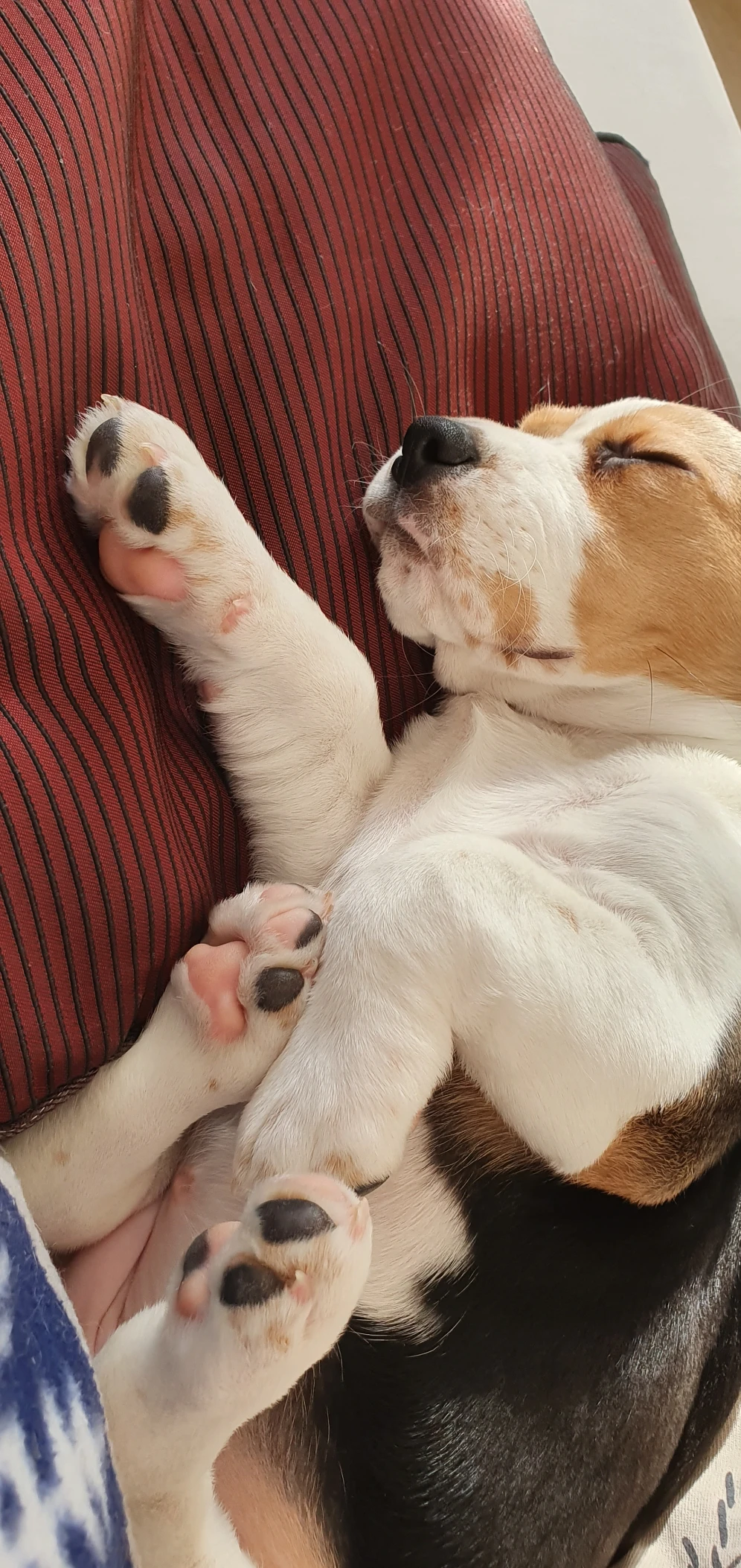 image-14