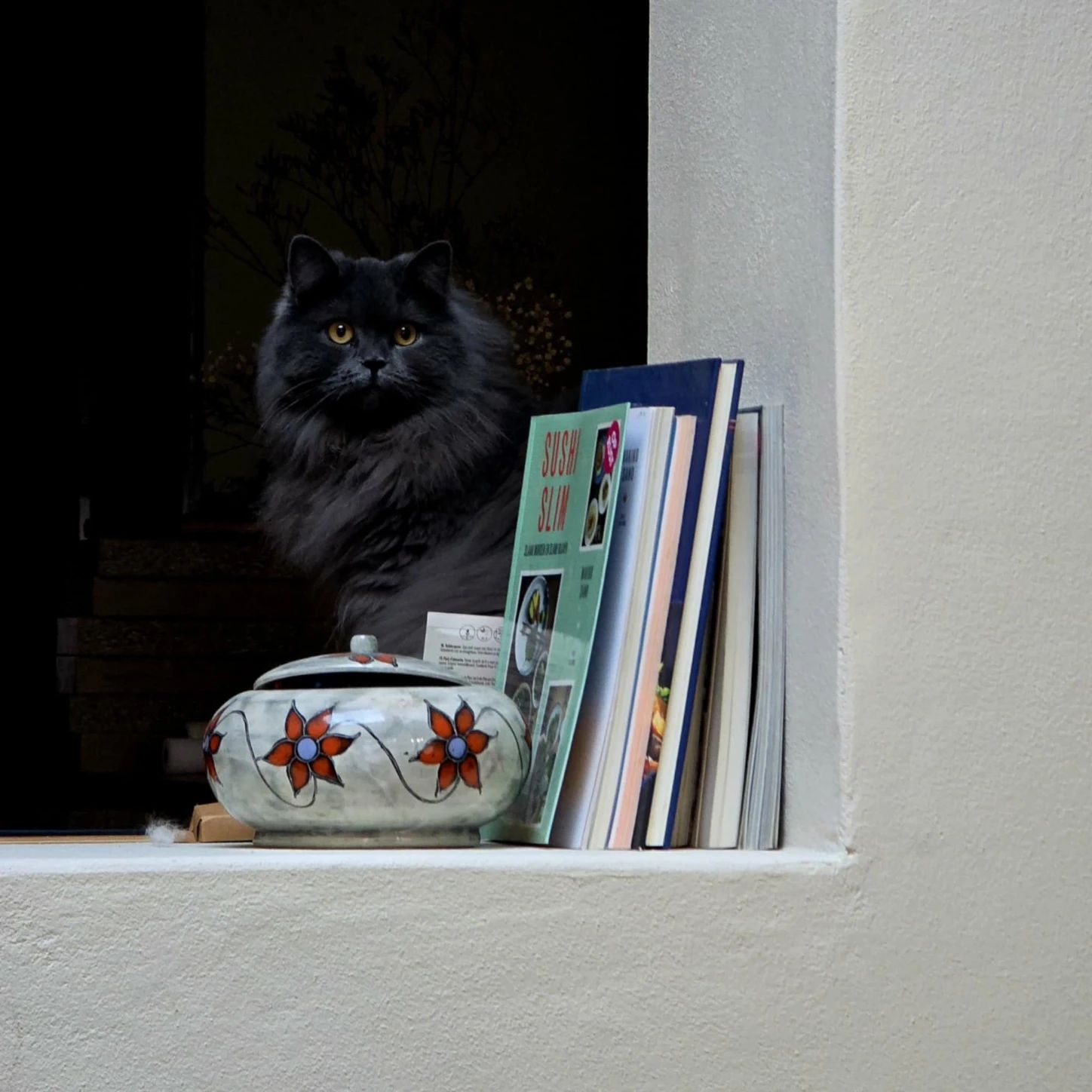 image-11
