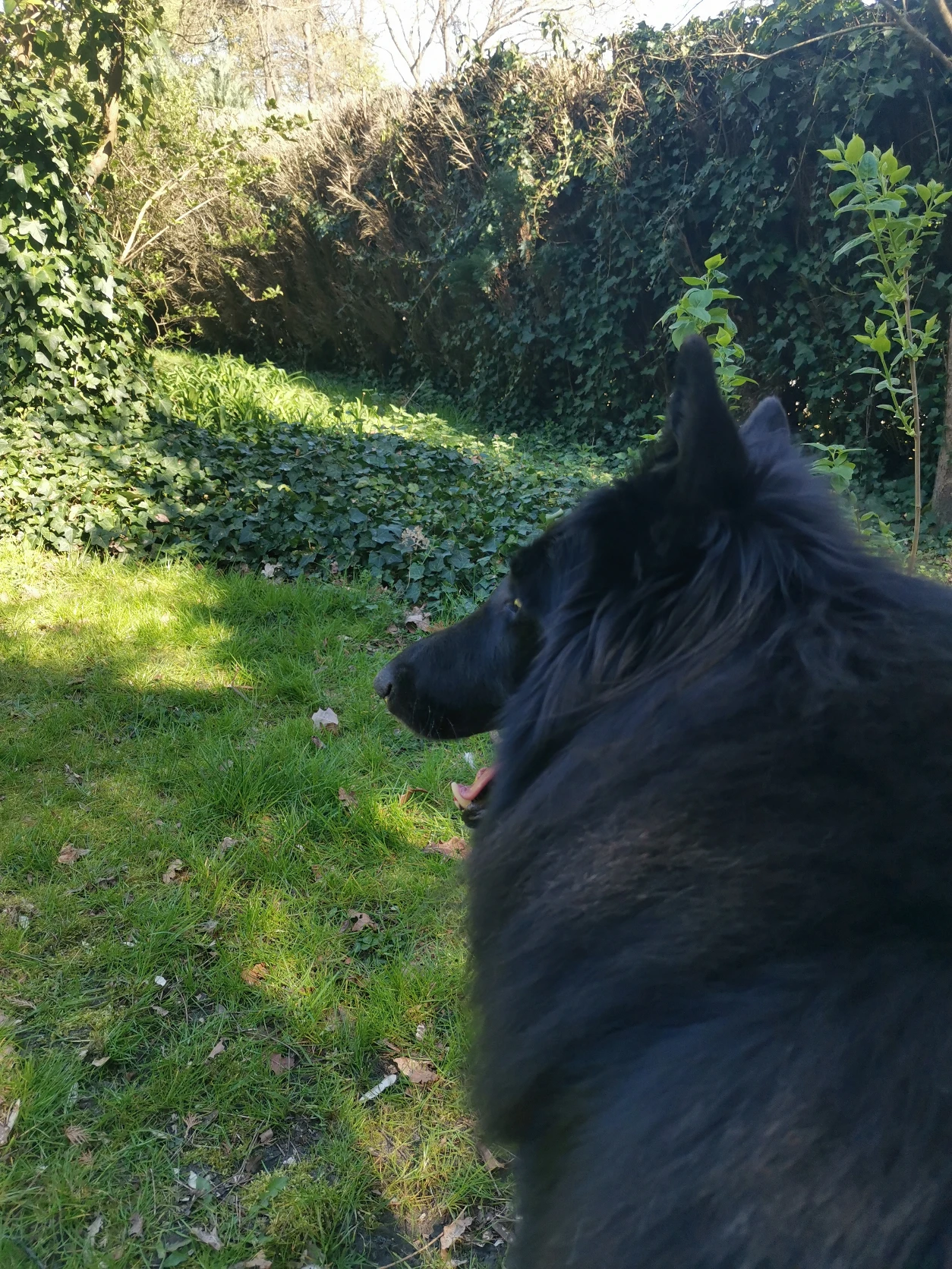 image-6