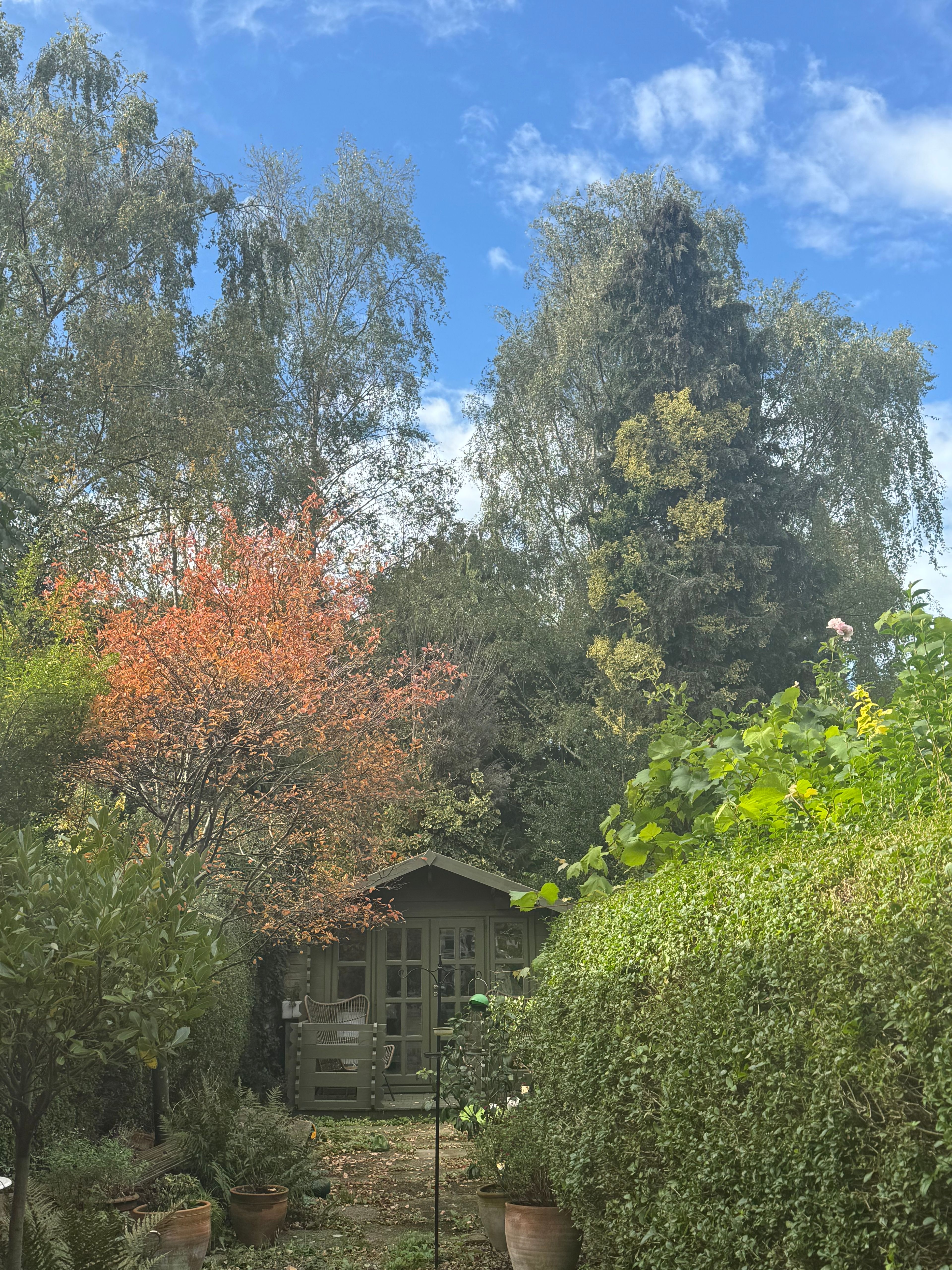 image-8