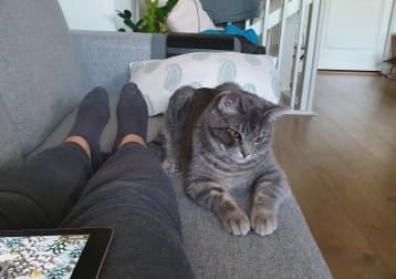 Pus