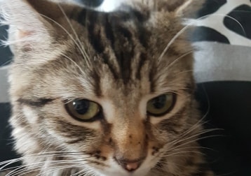 Matilda