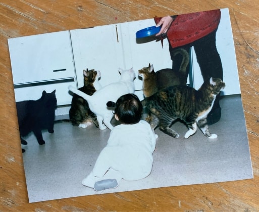 image-9