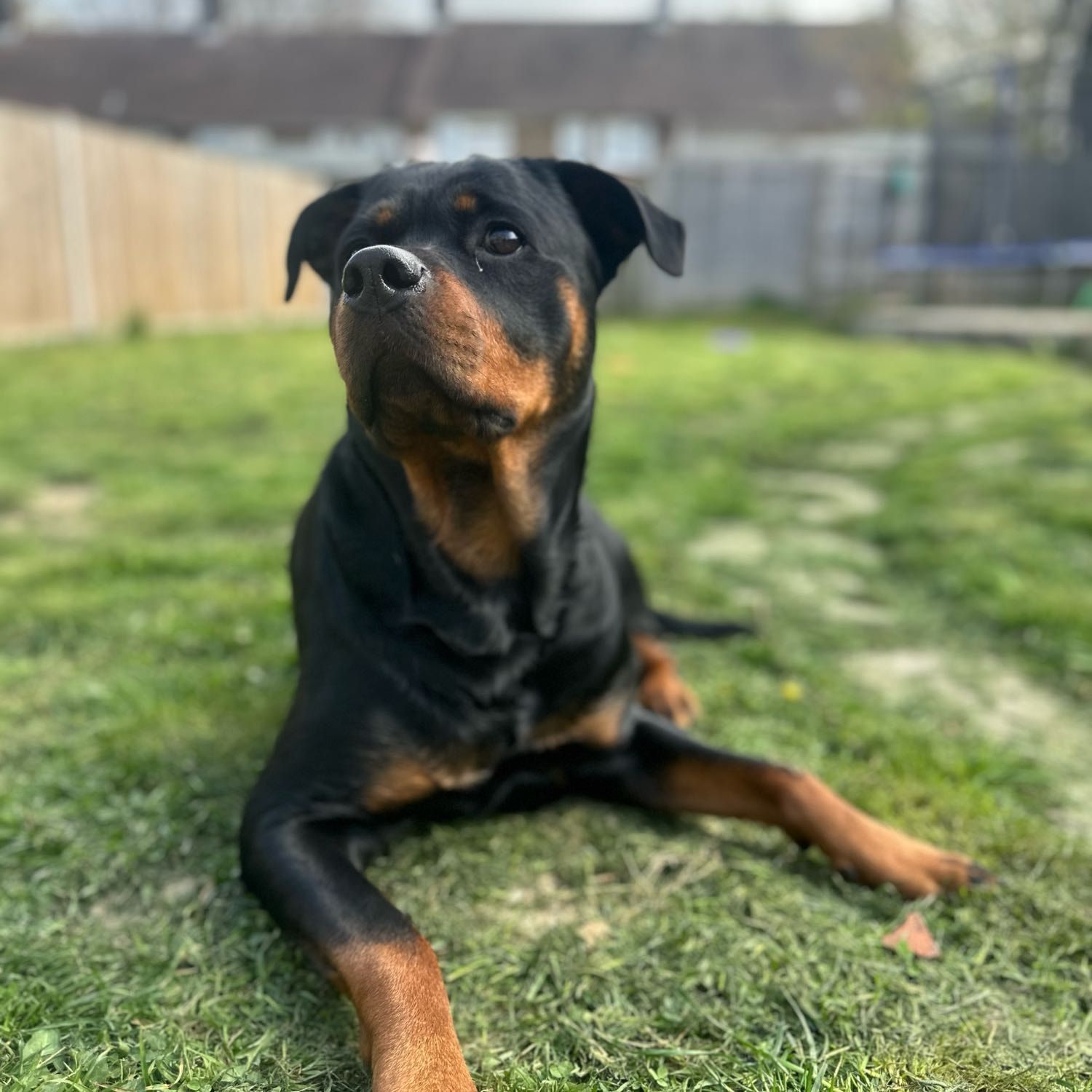 Cleo