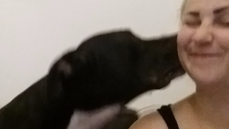 image-8