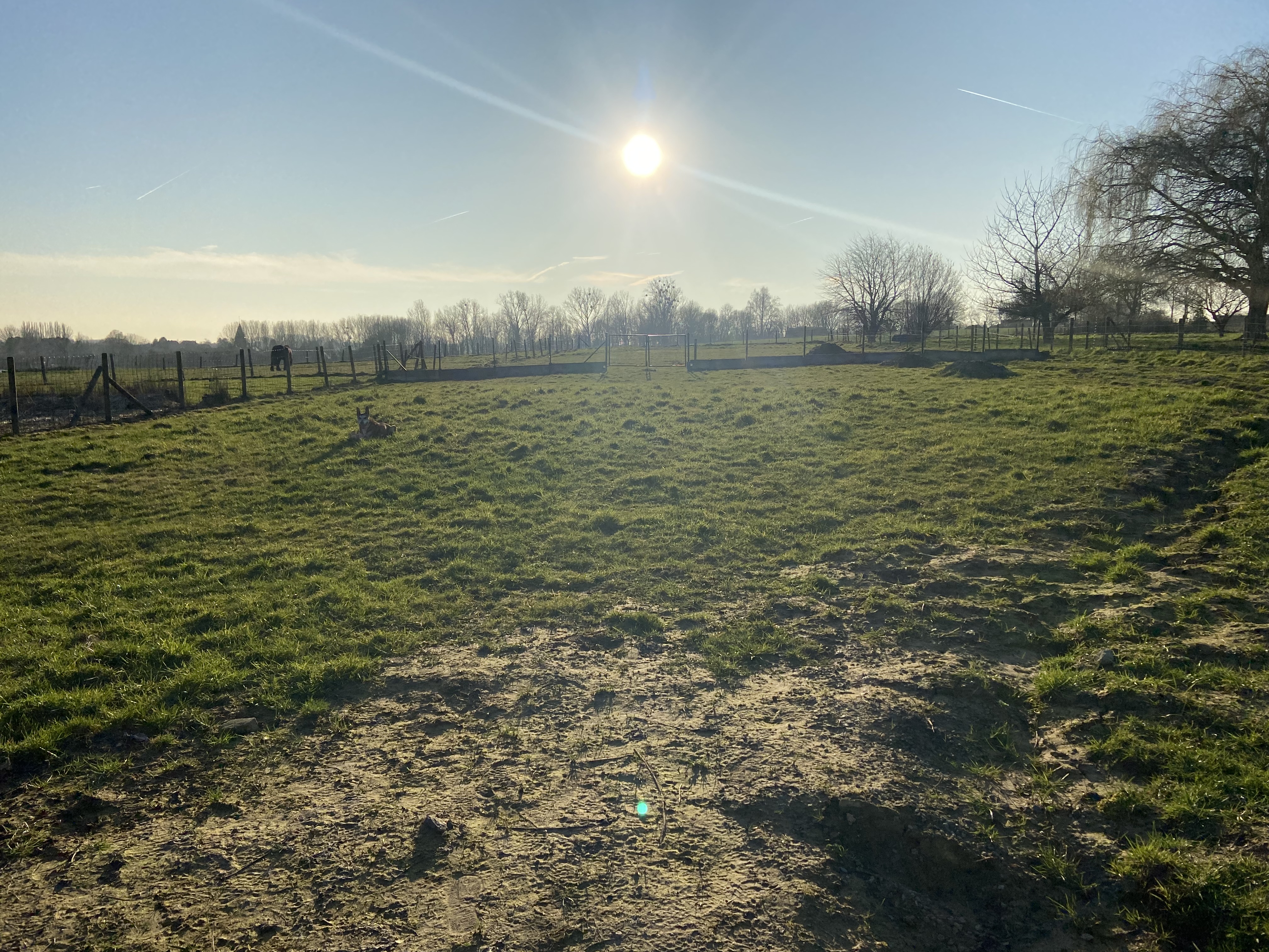 image-7