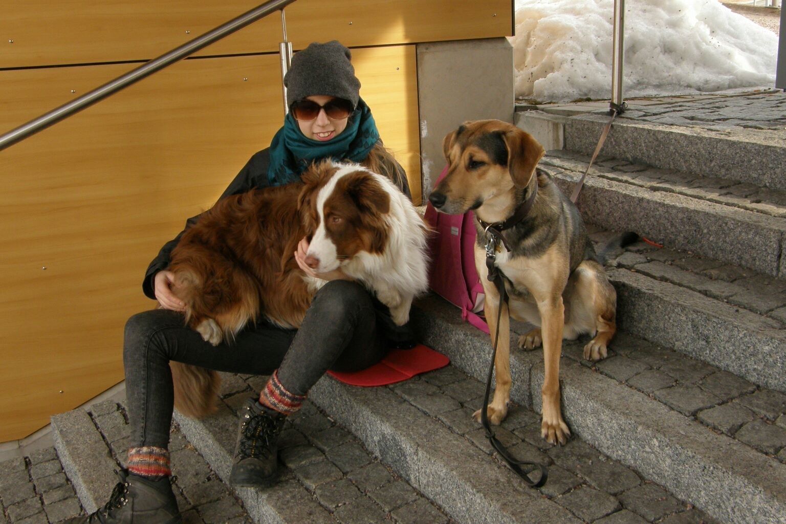 image-6