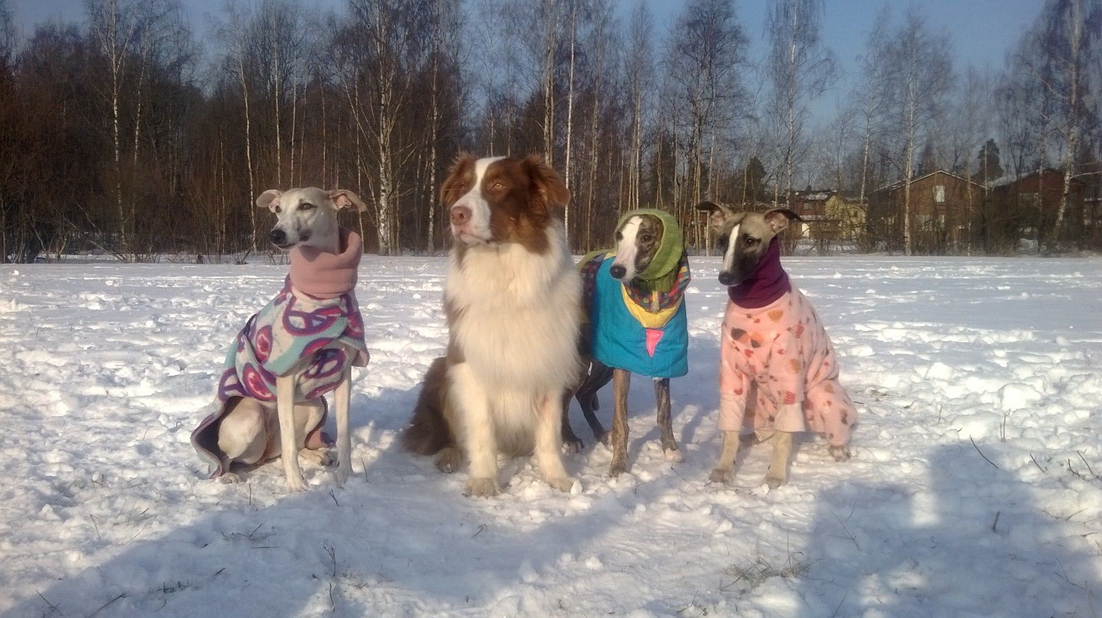 image-9