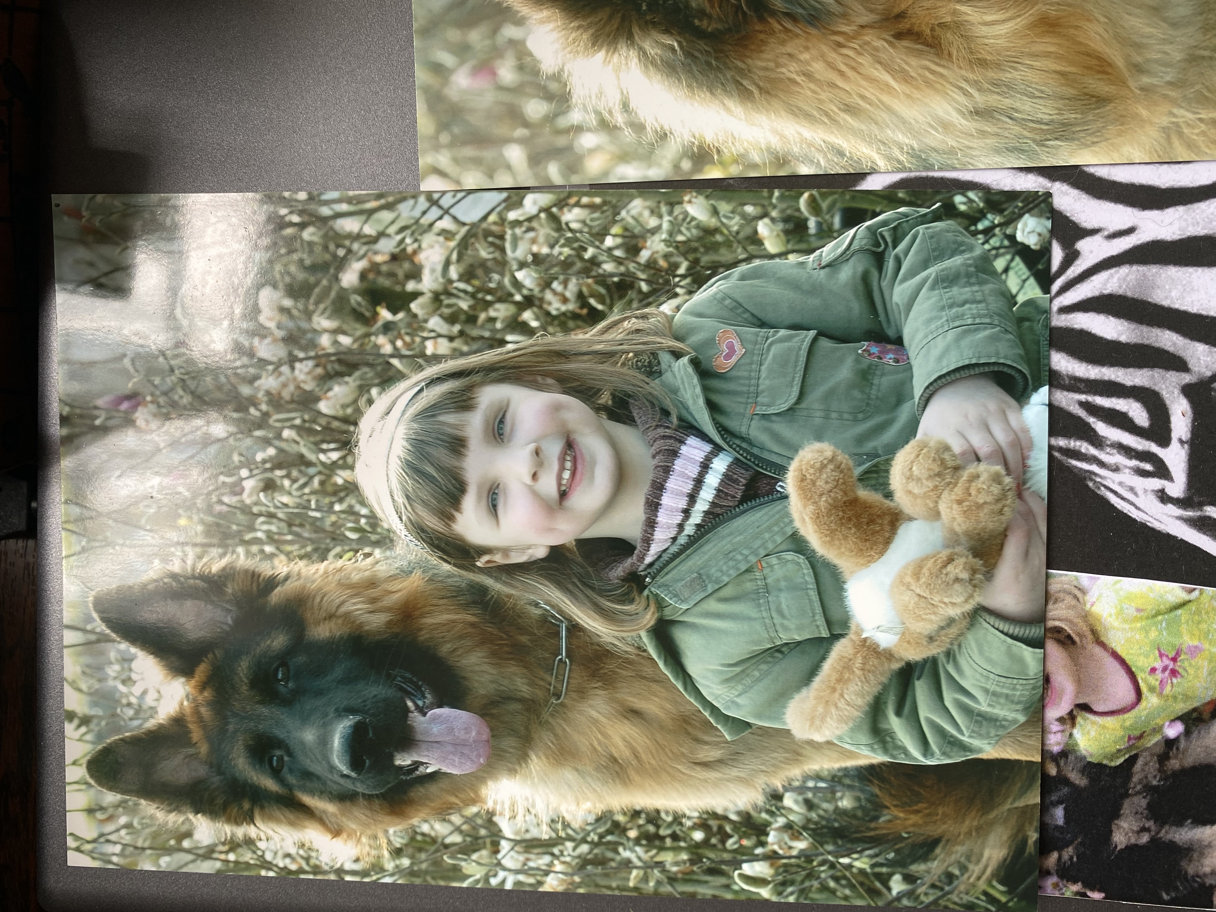 image-8