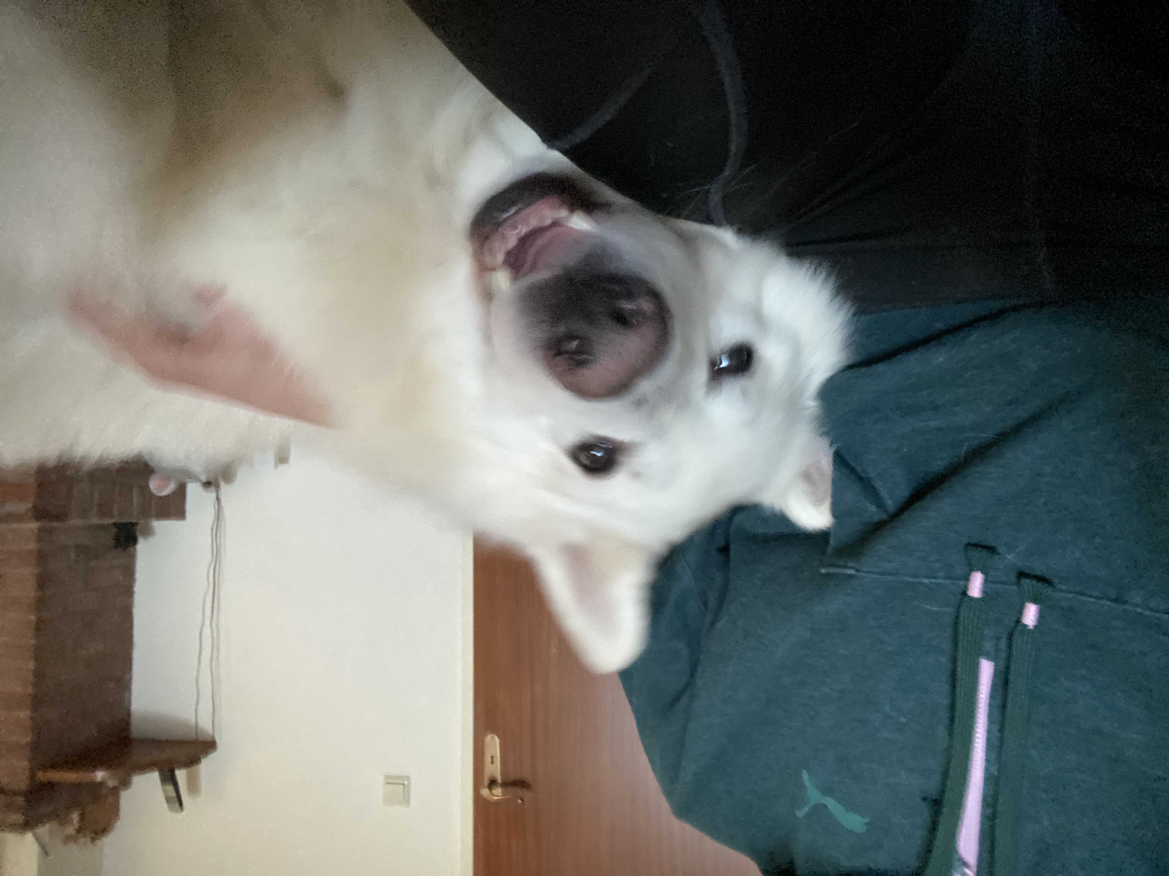 image-16