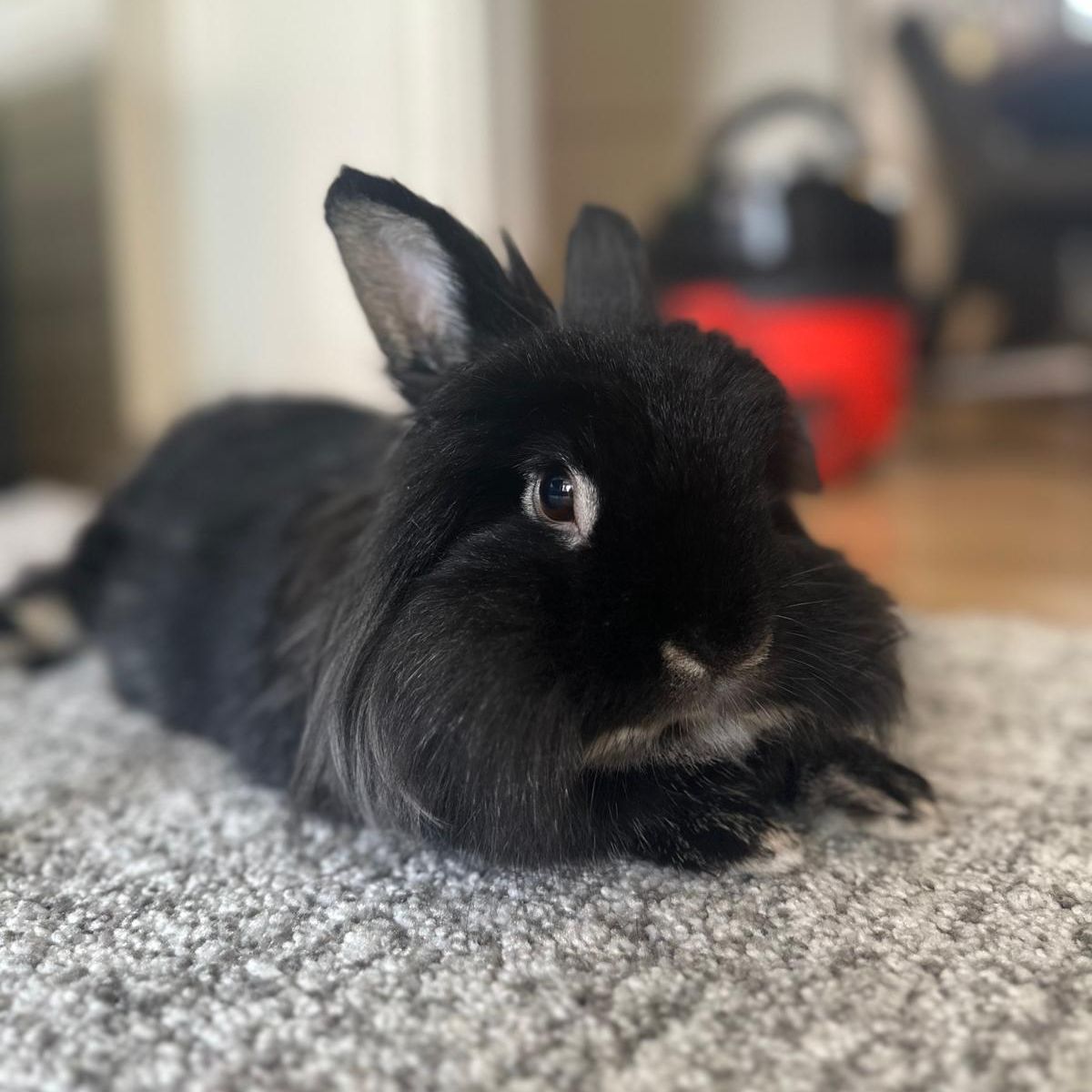Pablo