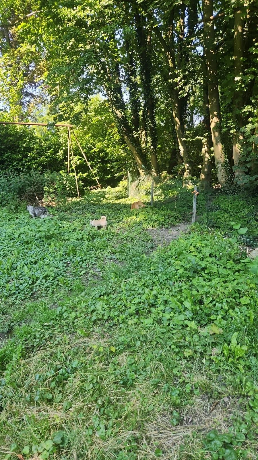 image-20