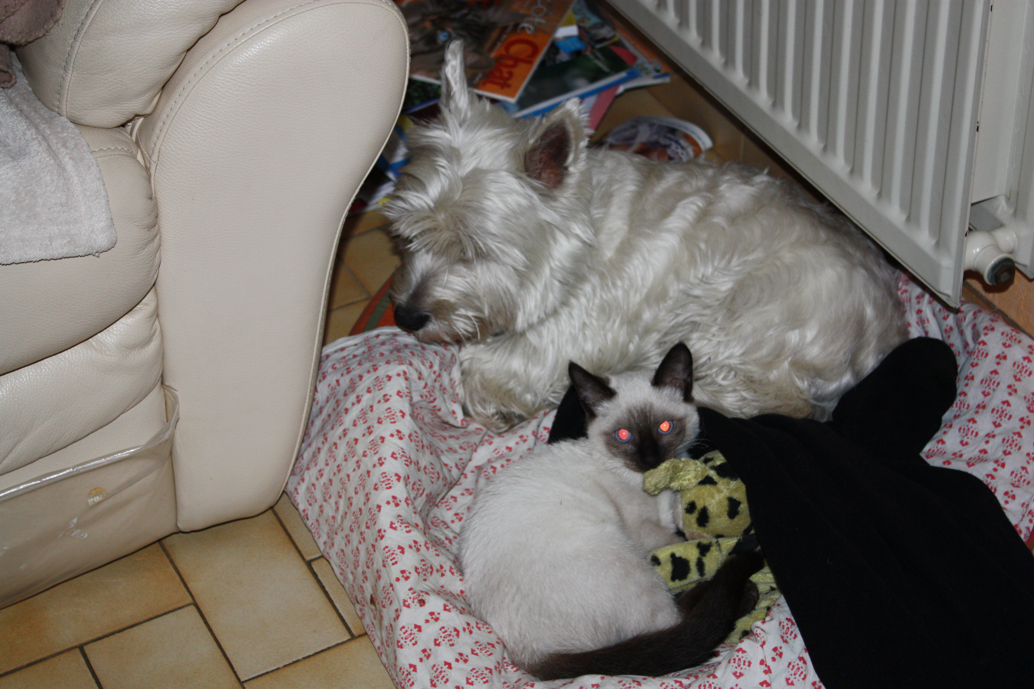 image-6