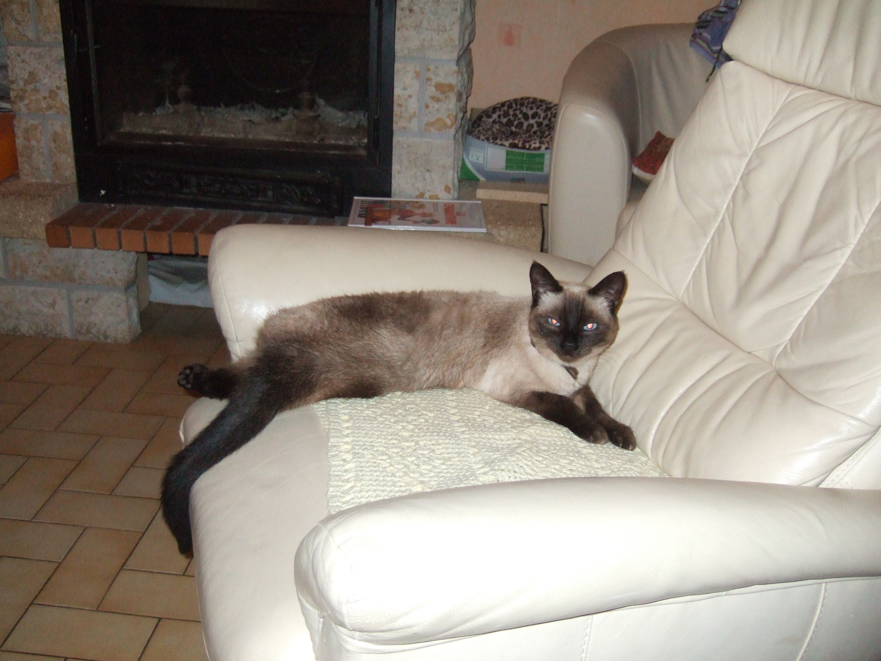 image-8
