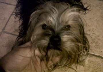 Charlie