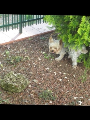 image-10
