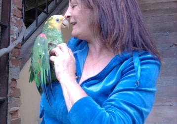 Pepo