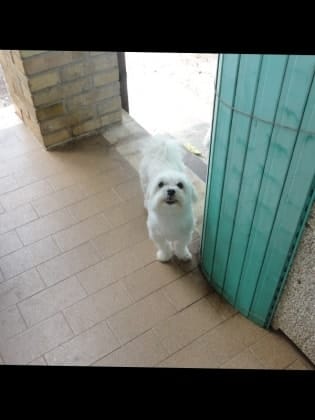 image-16