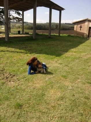 image-0