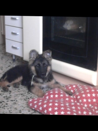 image-7