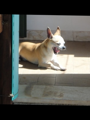 image-8