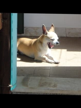 image-8
