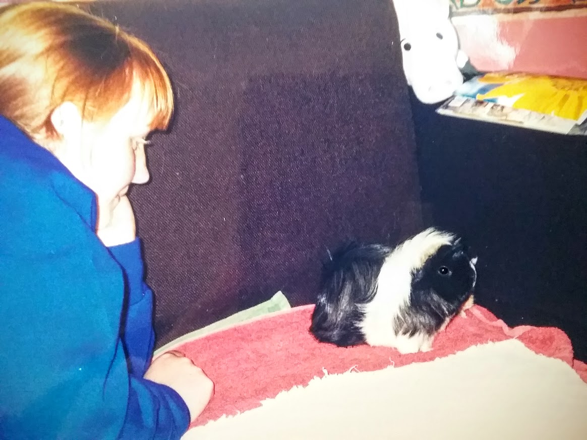 image-7