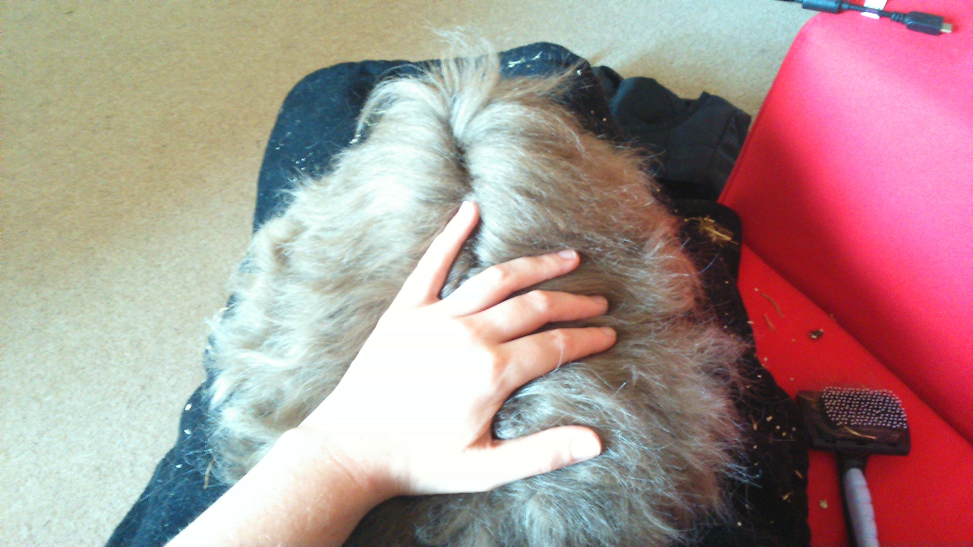 image-8