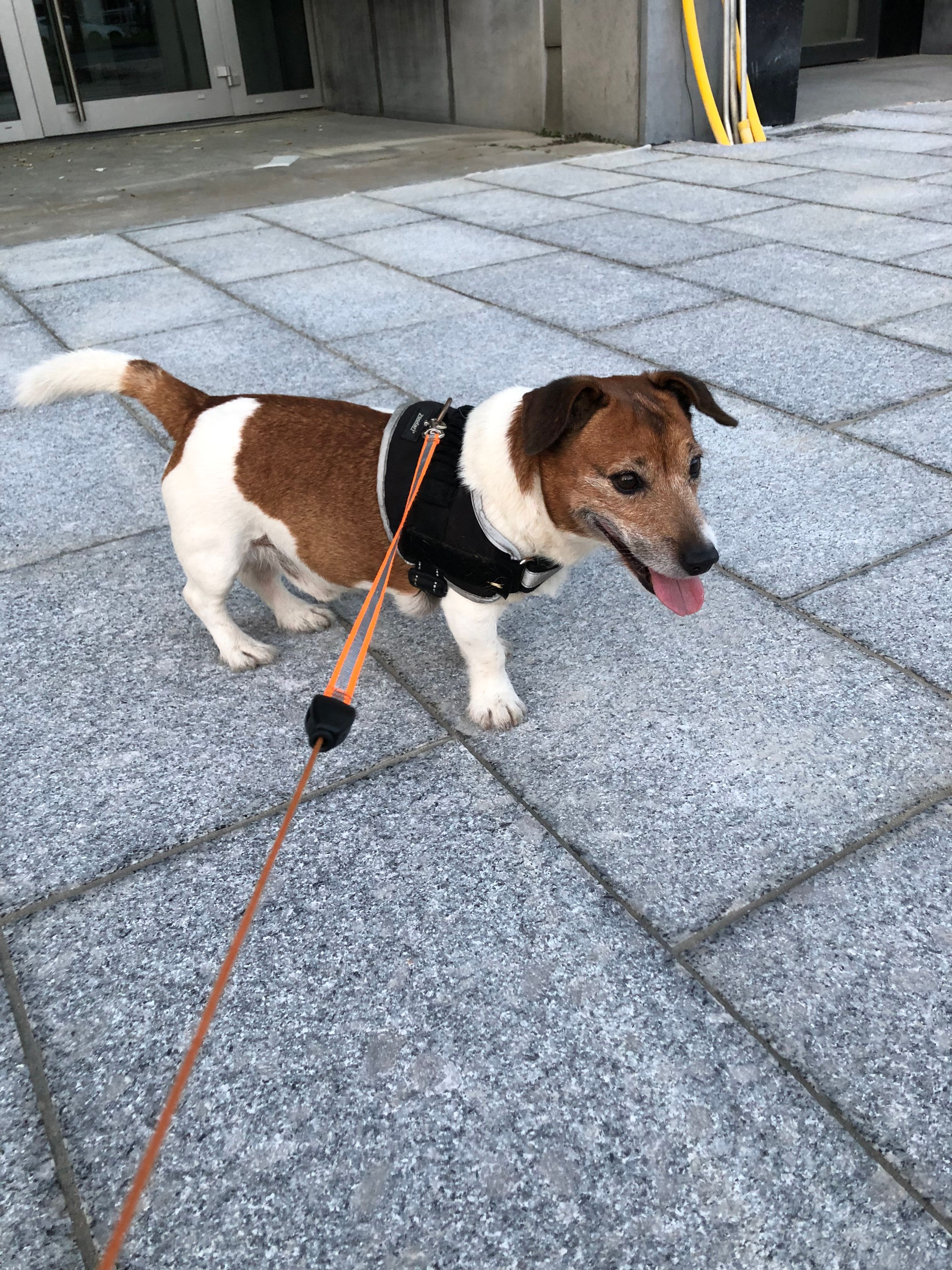image-20