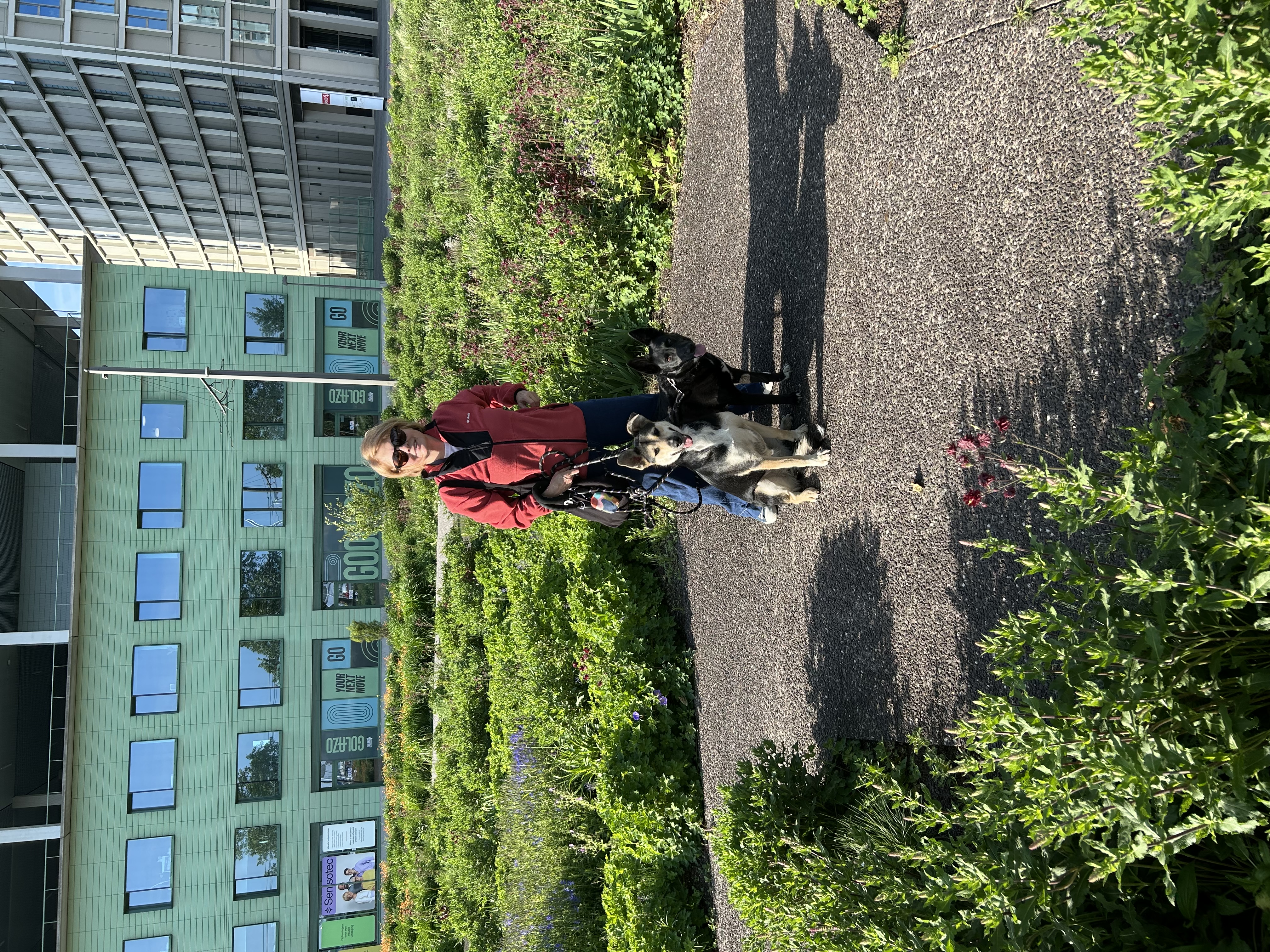 image-22